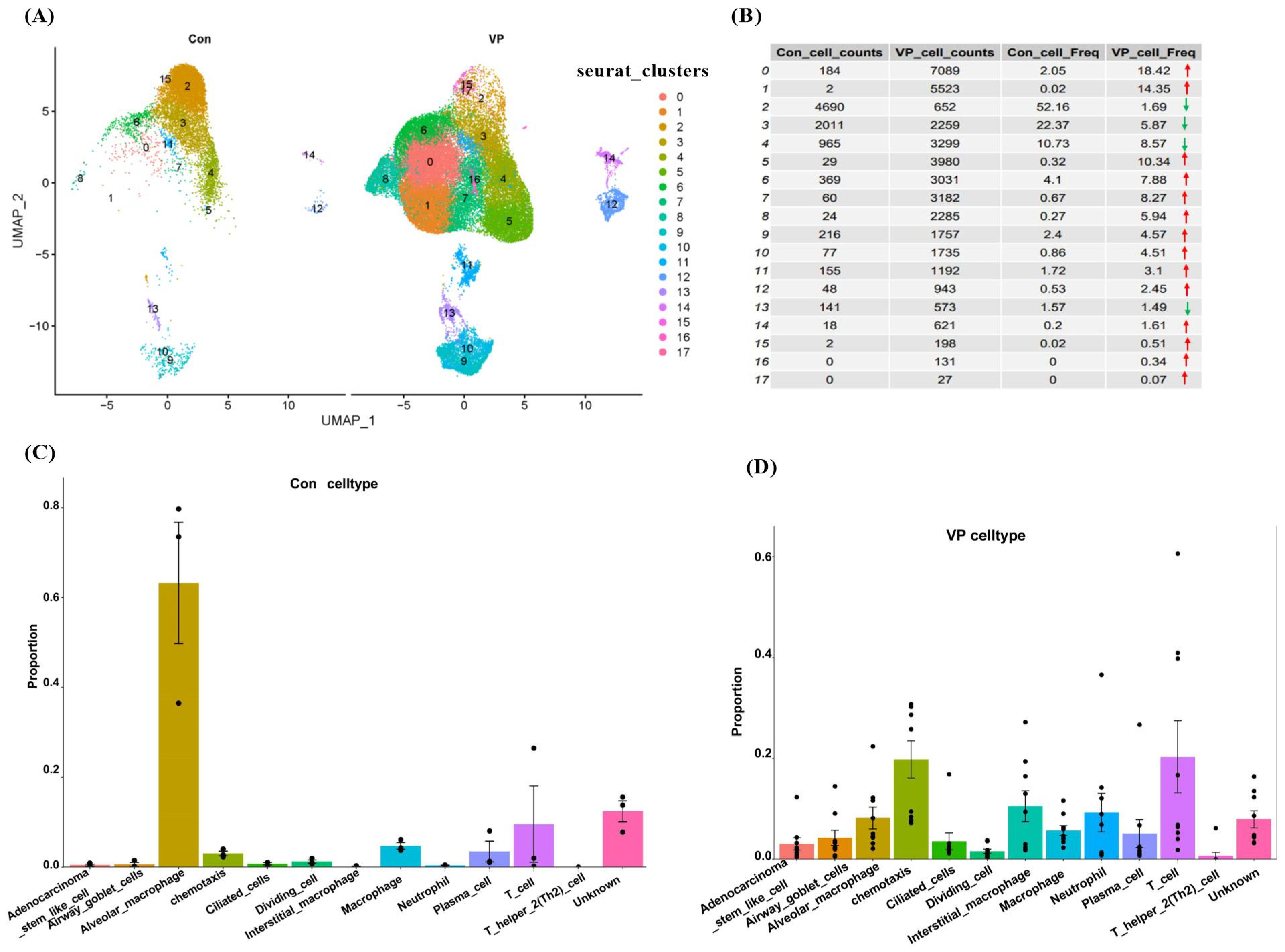 Viruses 16 00923 g001