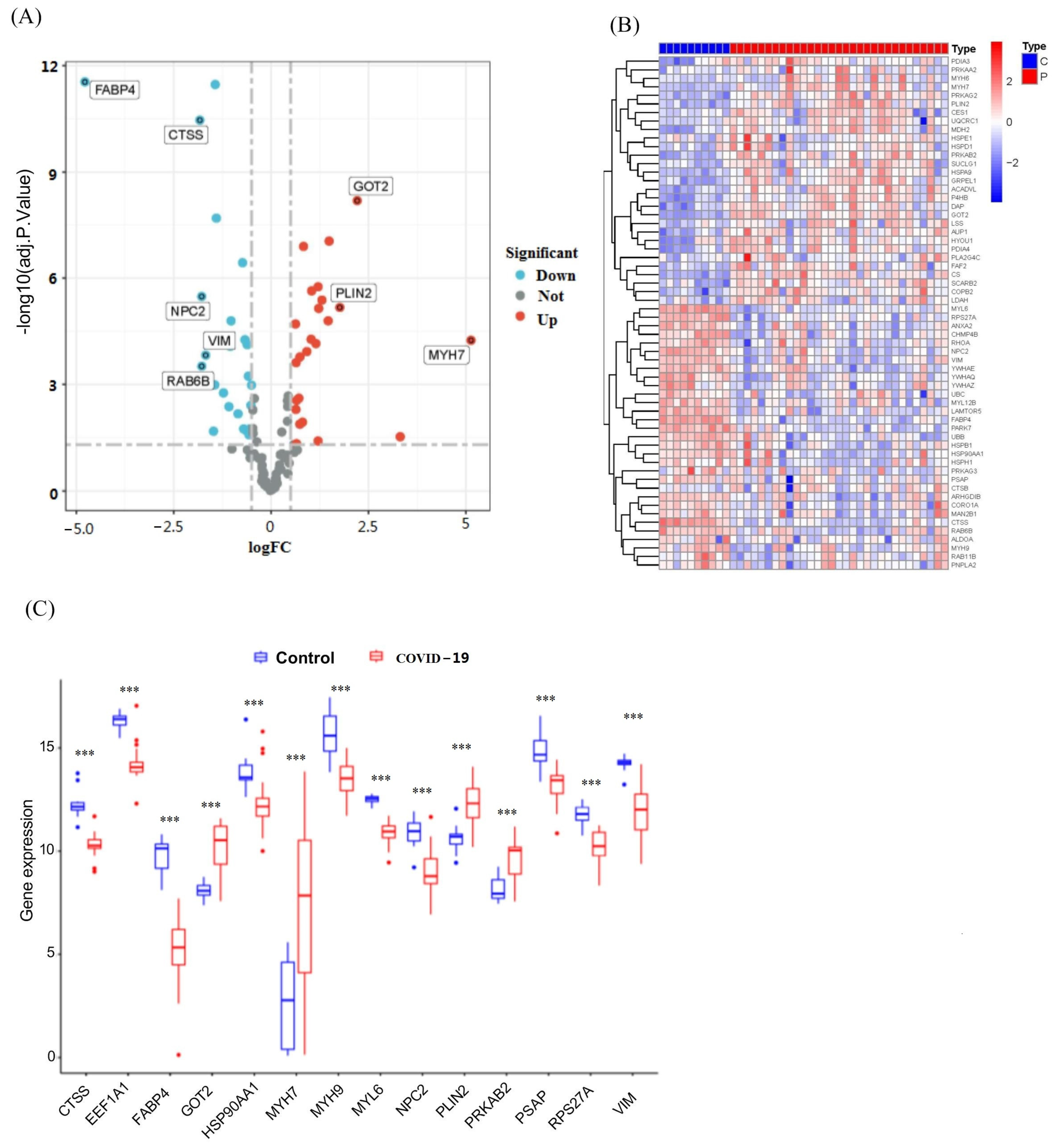Viruses 16 00923 g002