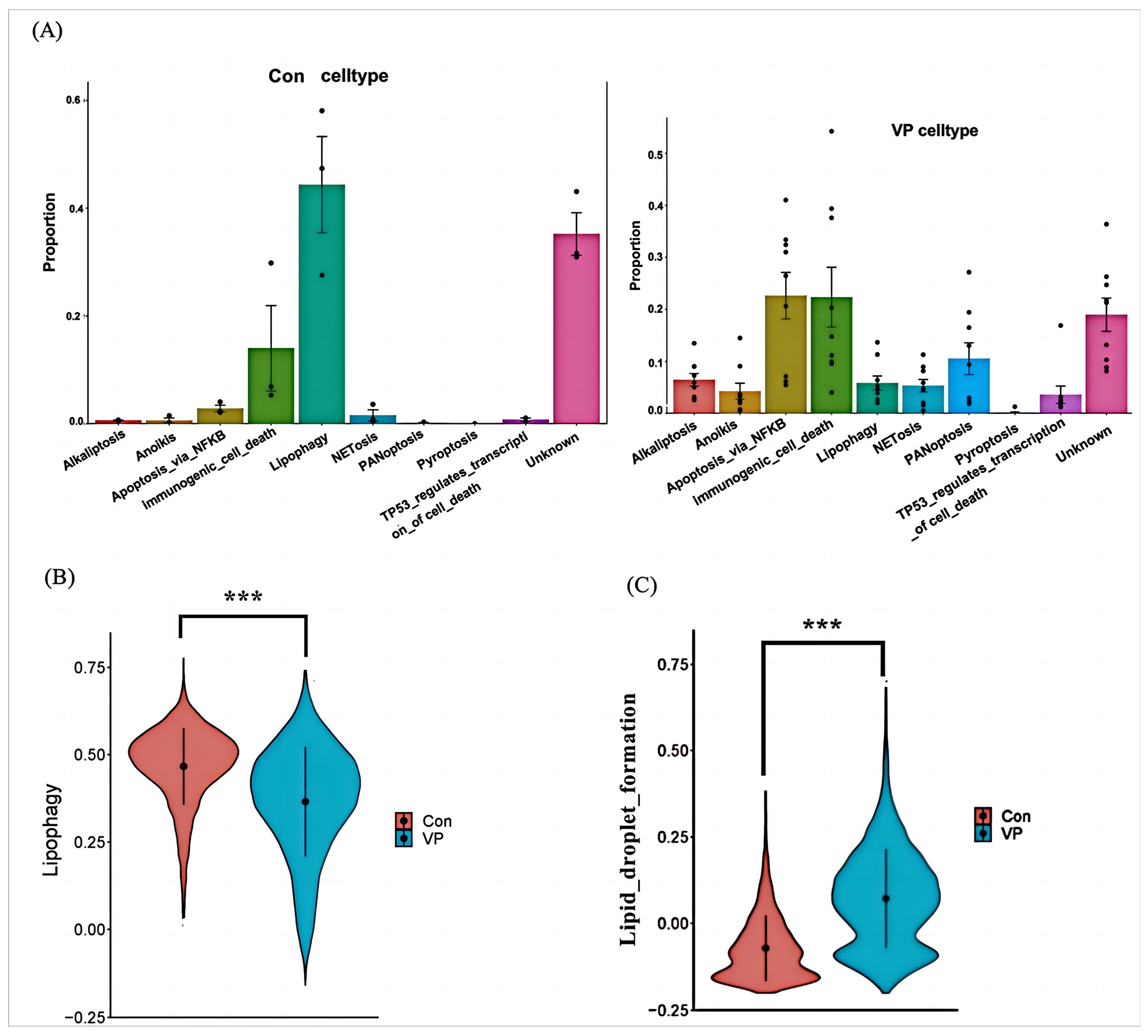 Viruses 16 00923 g007