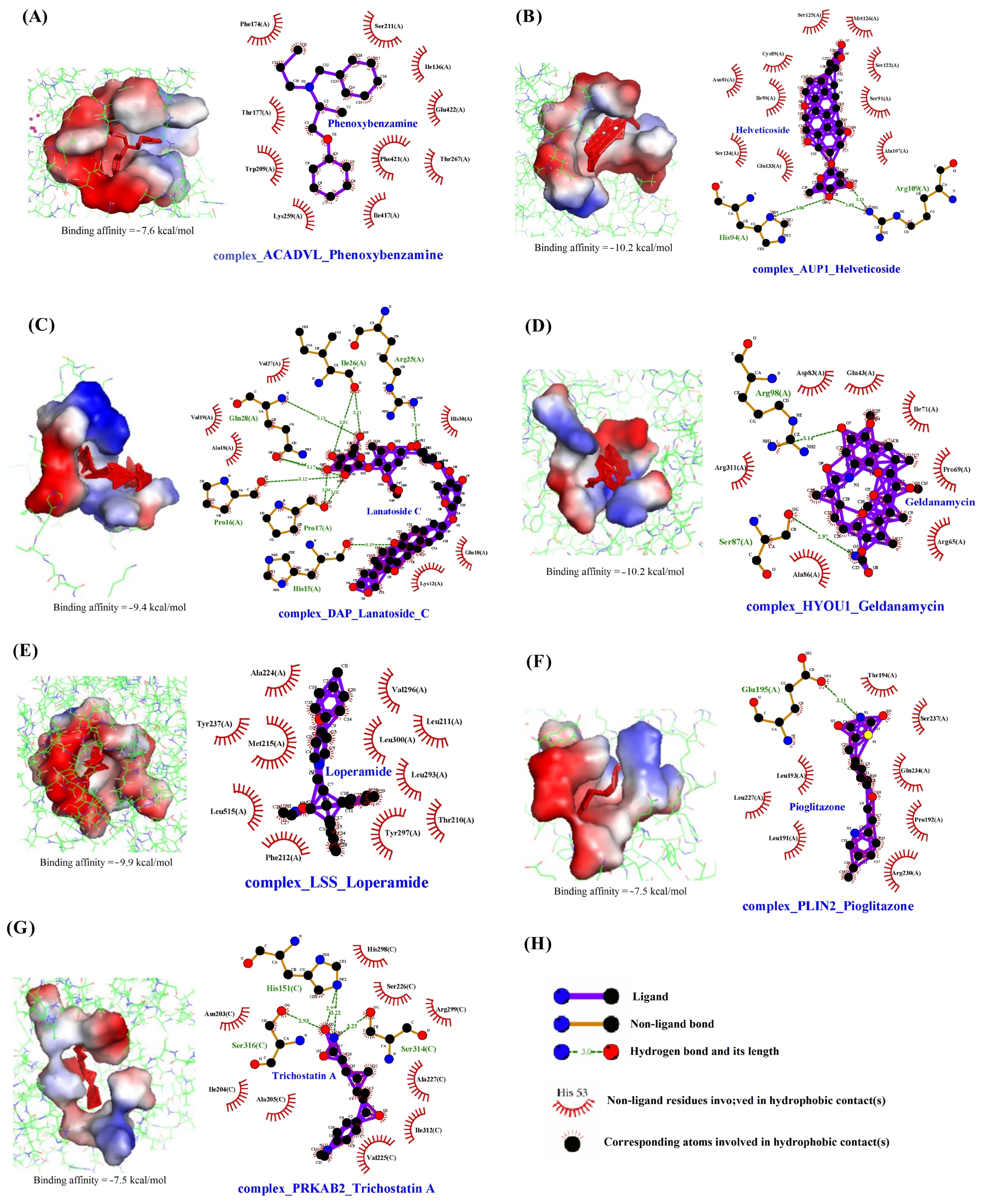Viruses 16 00923 g008