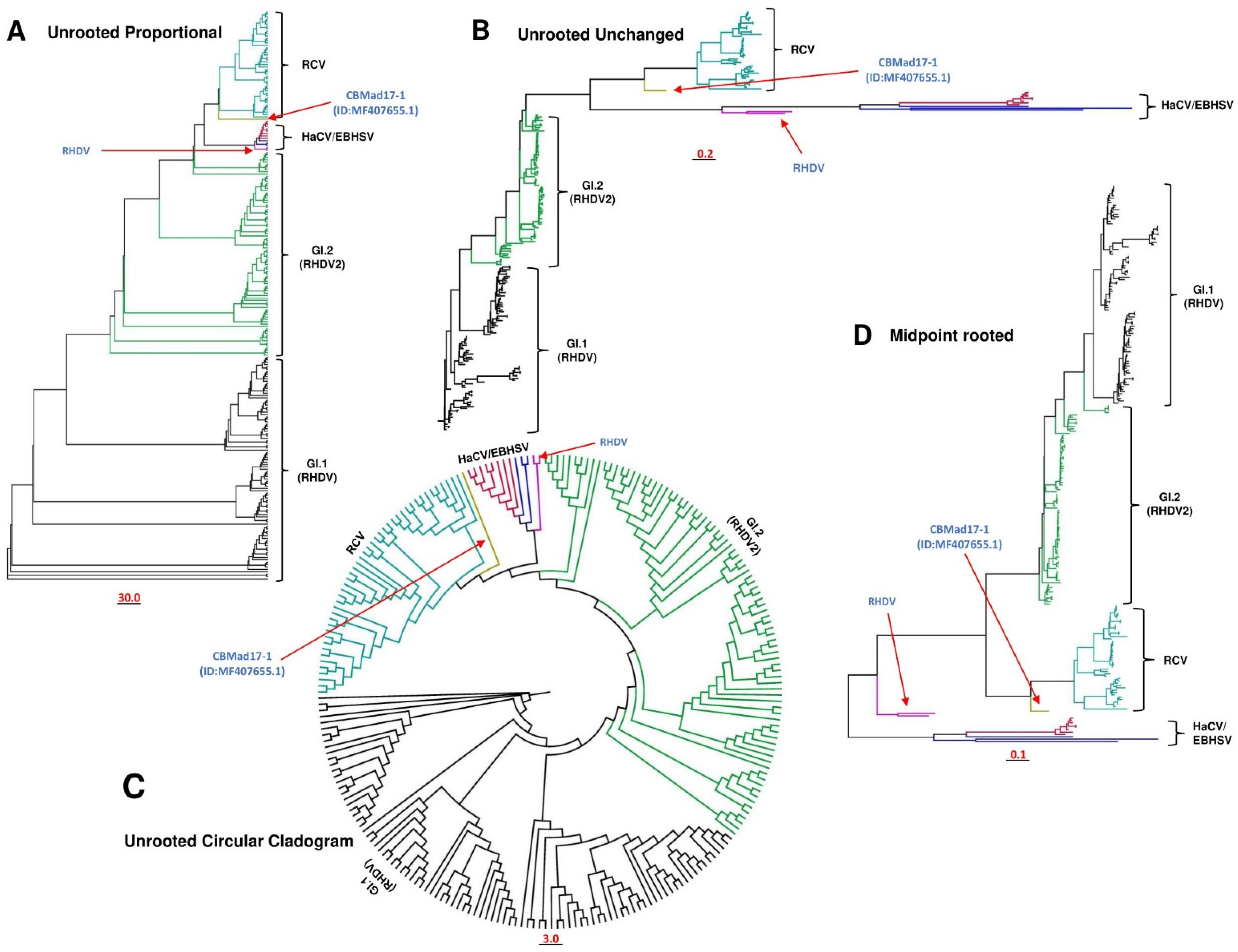 Viruses 16 00928 g001