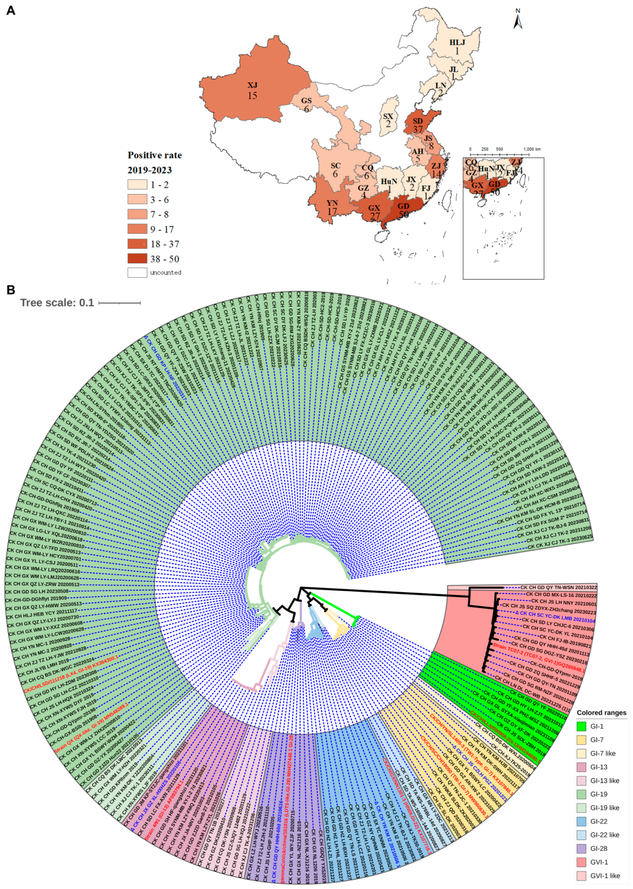 Viruses 16 00930 g001
