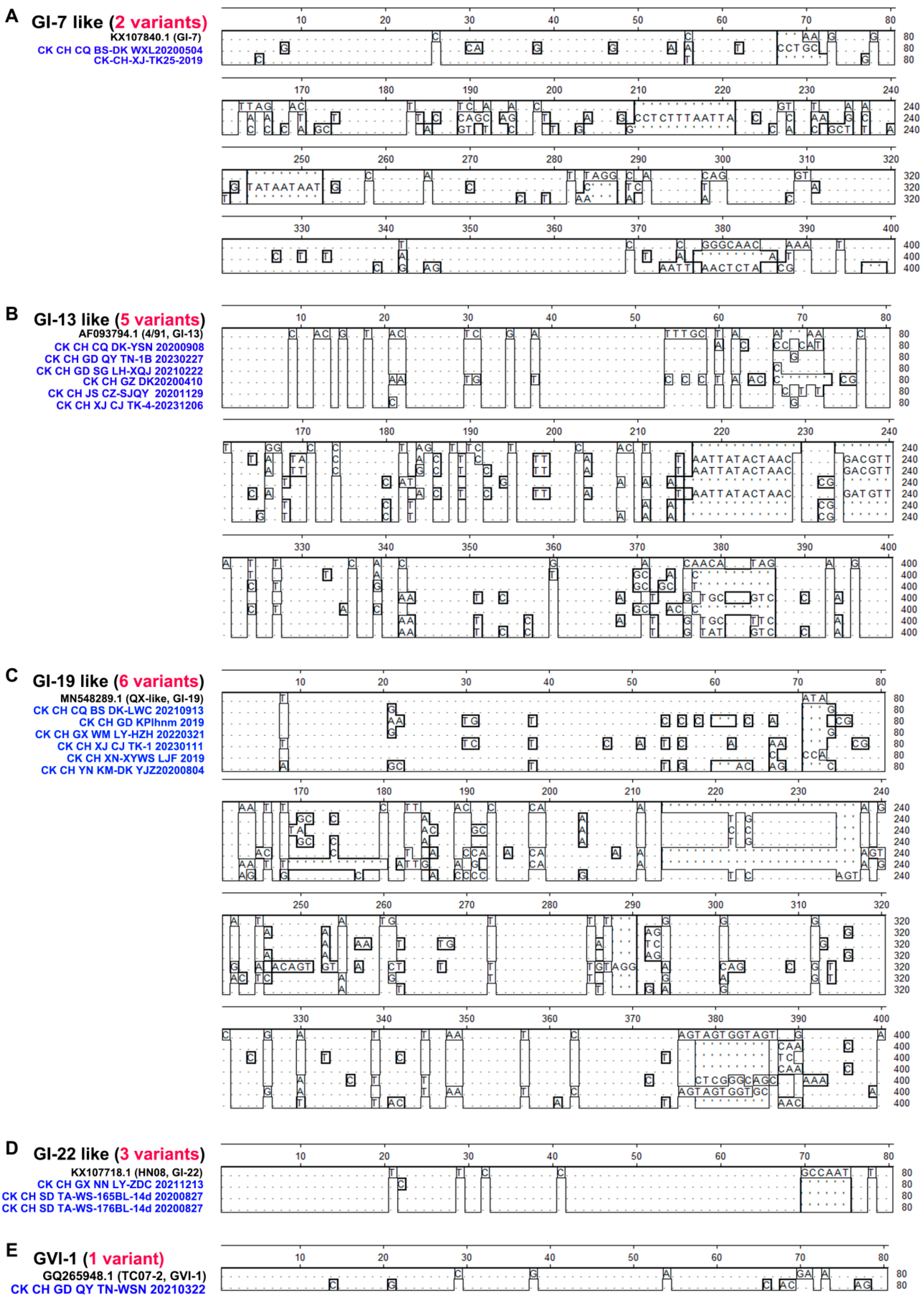 Viruses 16 00930 g004