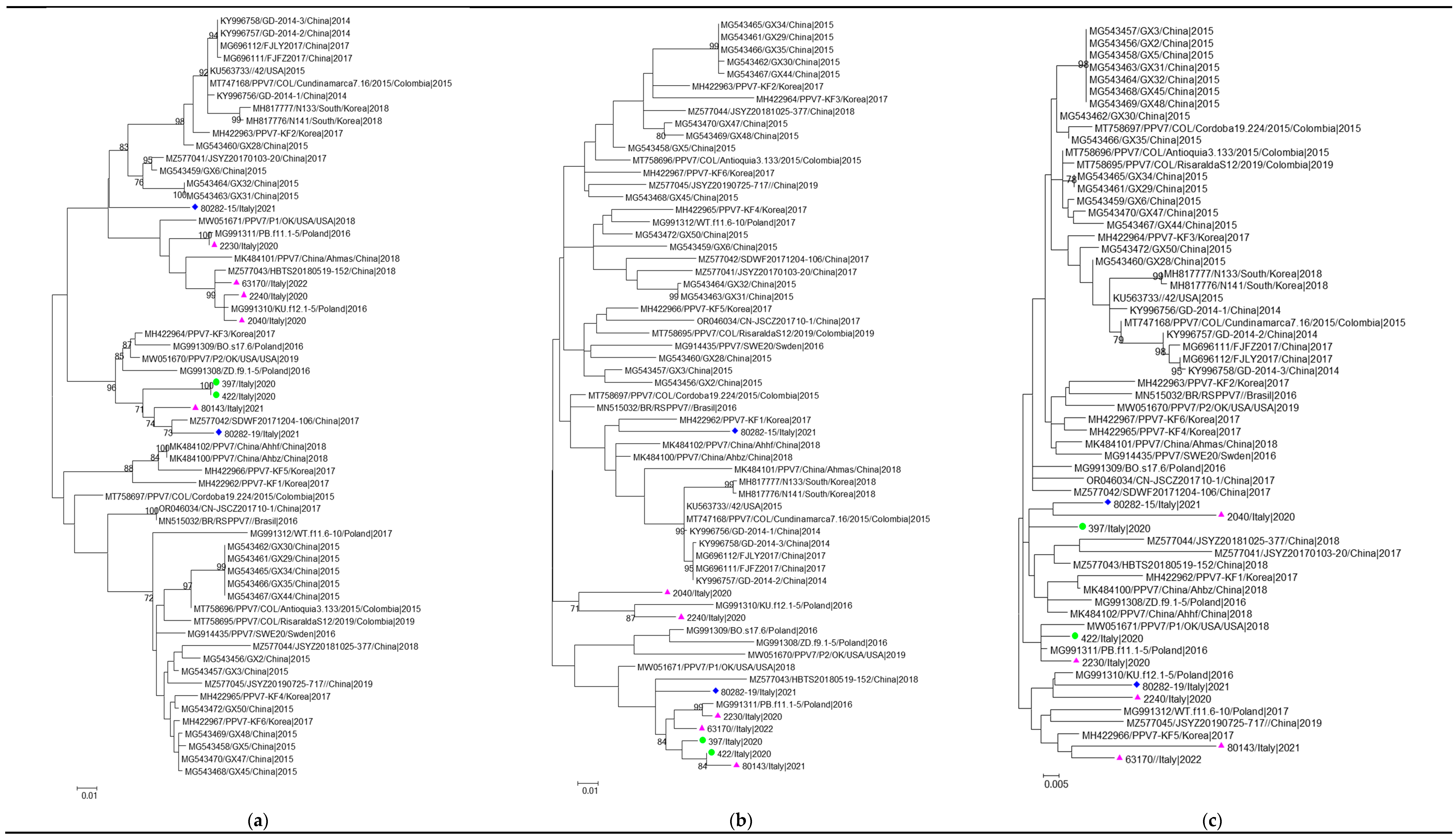 Viruses 16 00932 g001