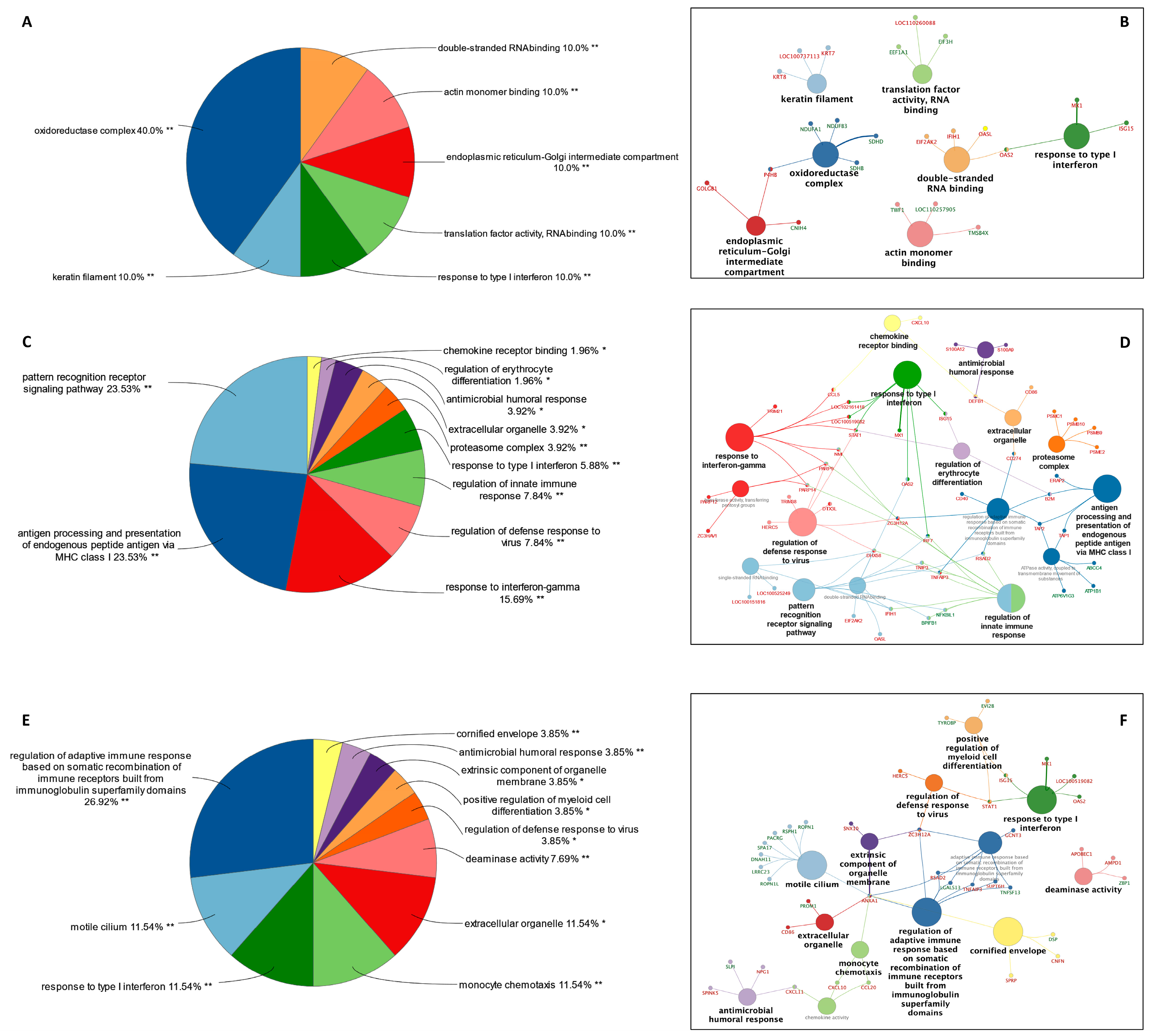 Viruses 16 00939 g003