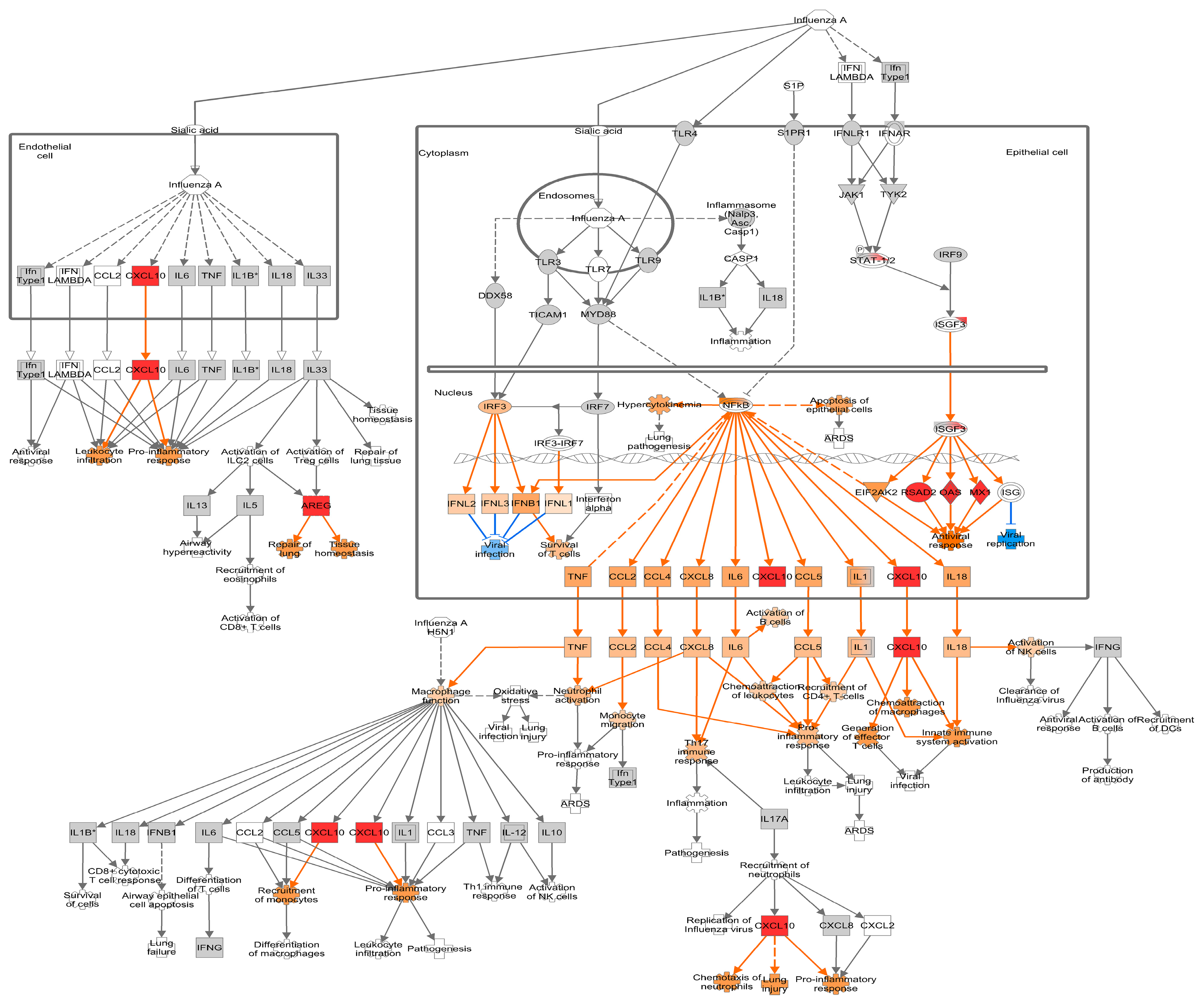 Viruses 16 00939 g006