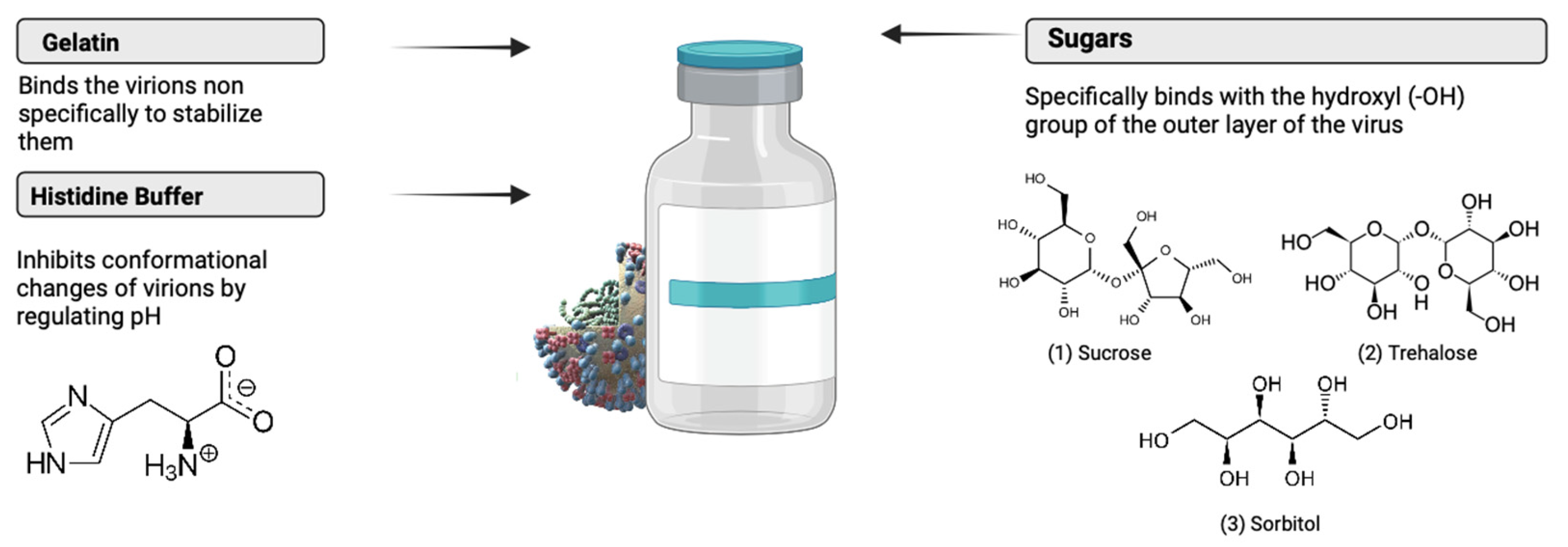 Viruses 16 00942 g001