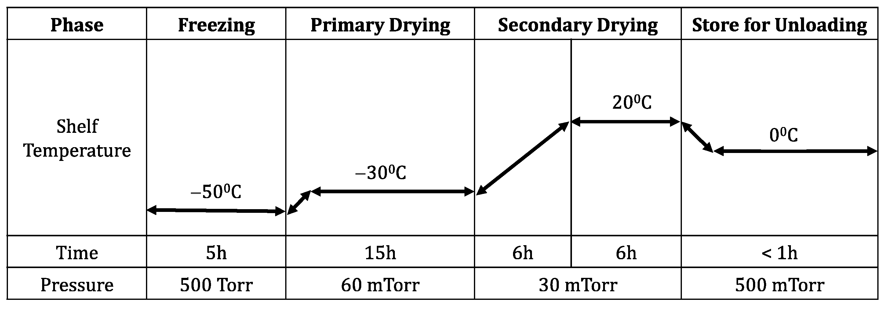 Viruses 16 00942 g005