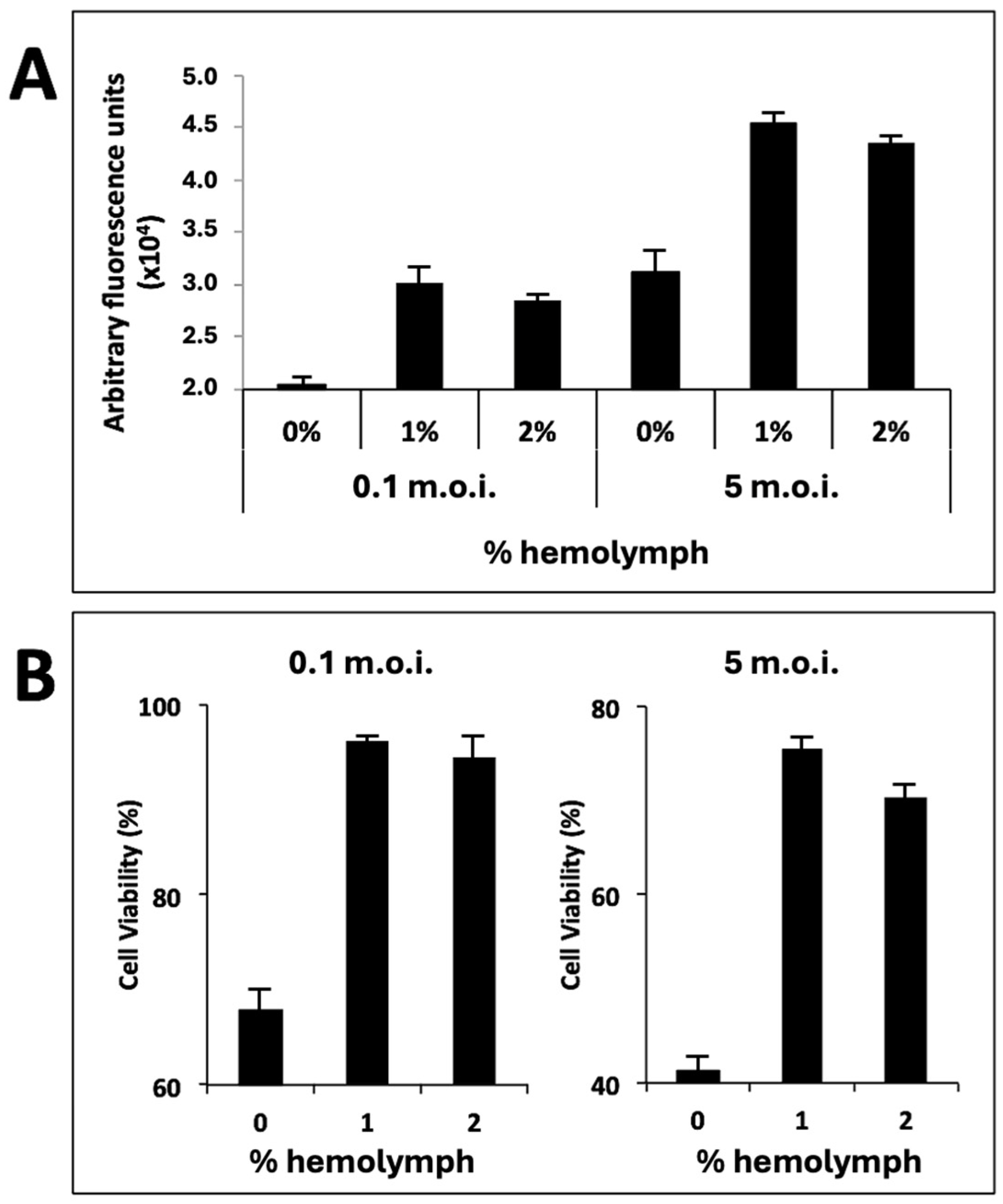 Viruses 16 00944 g002