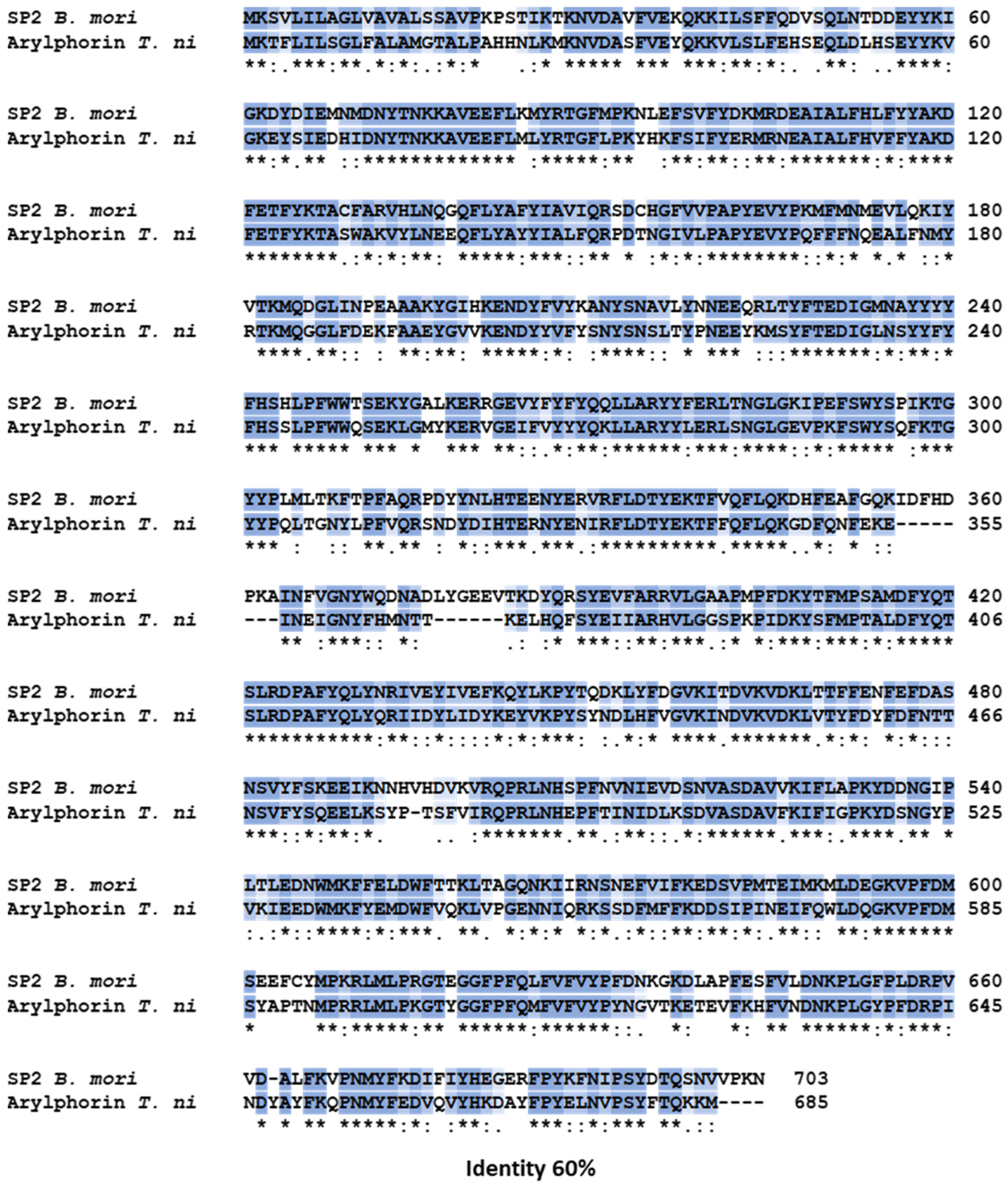 Viruses 16 00944 g005