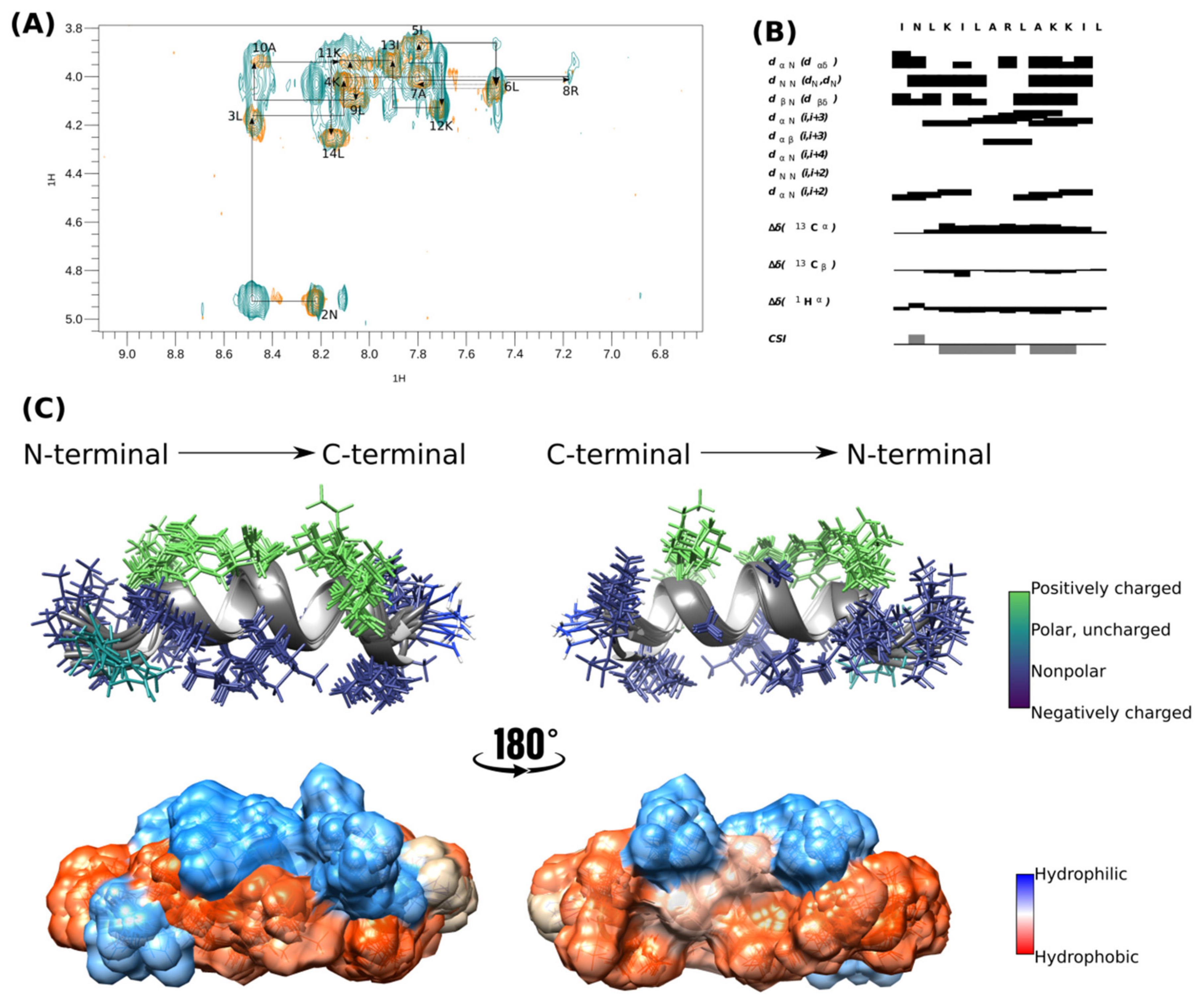 Viruses 16 00948 g002