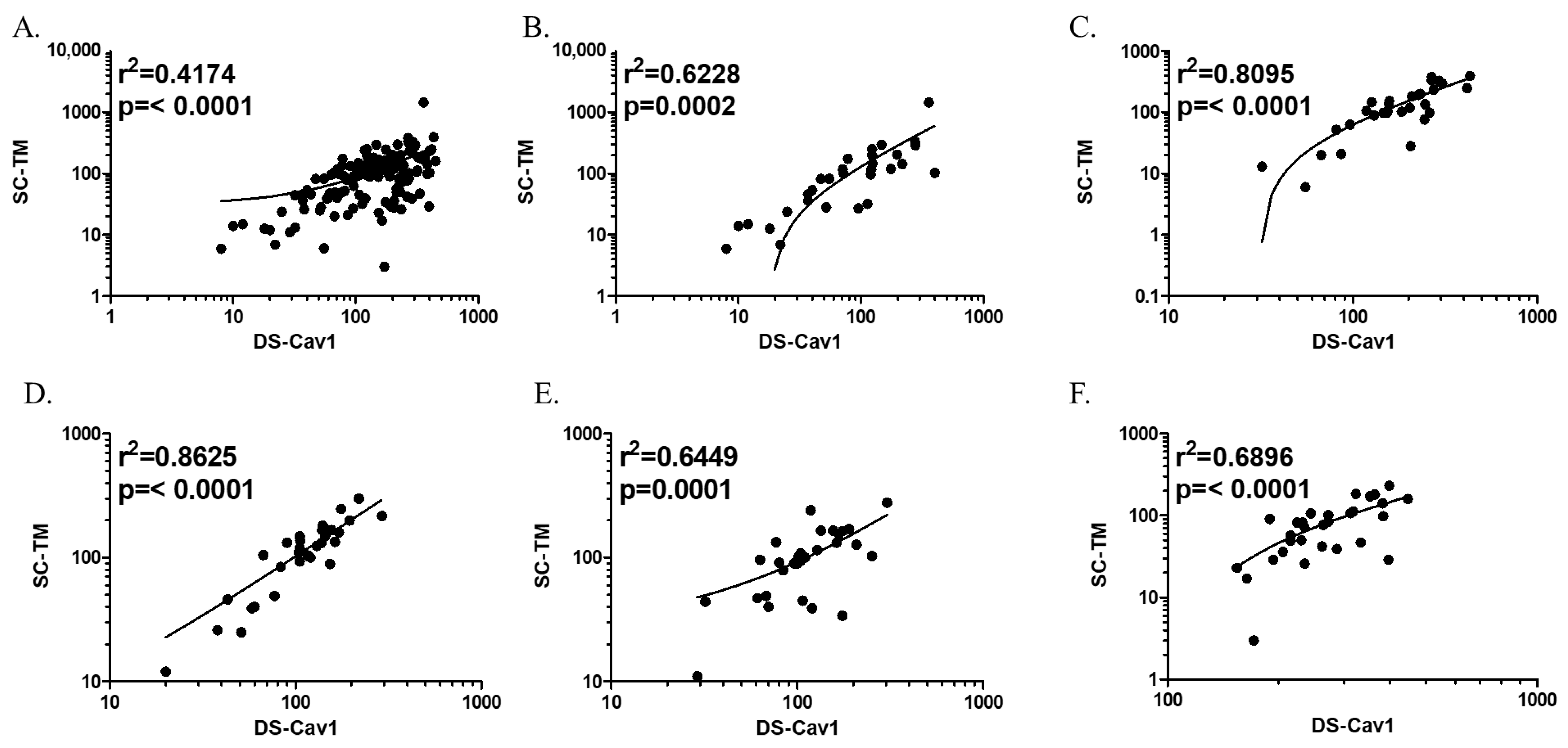 Viruses 16 00952 g003