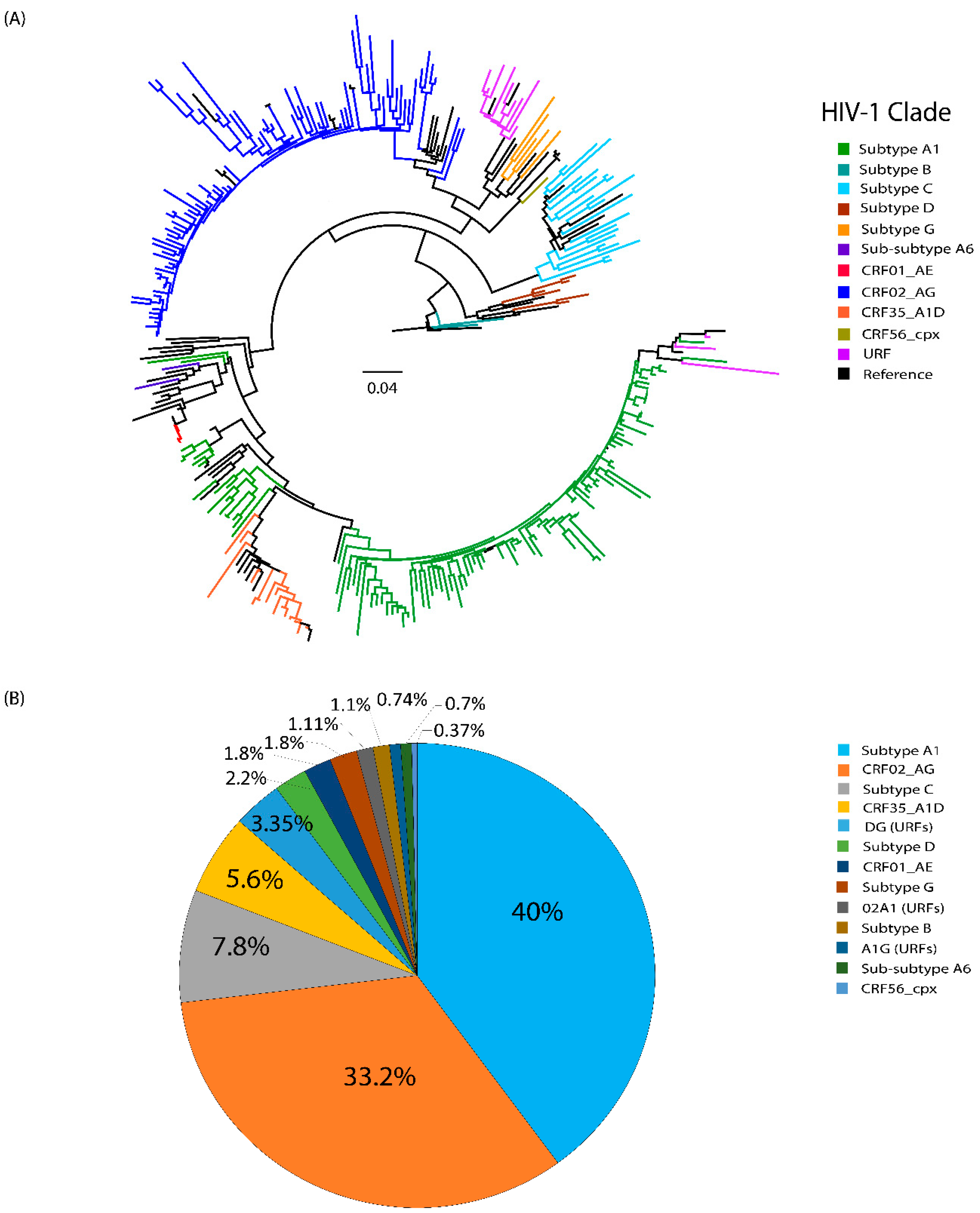 Viruses 16 00962 g001