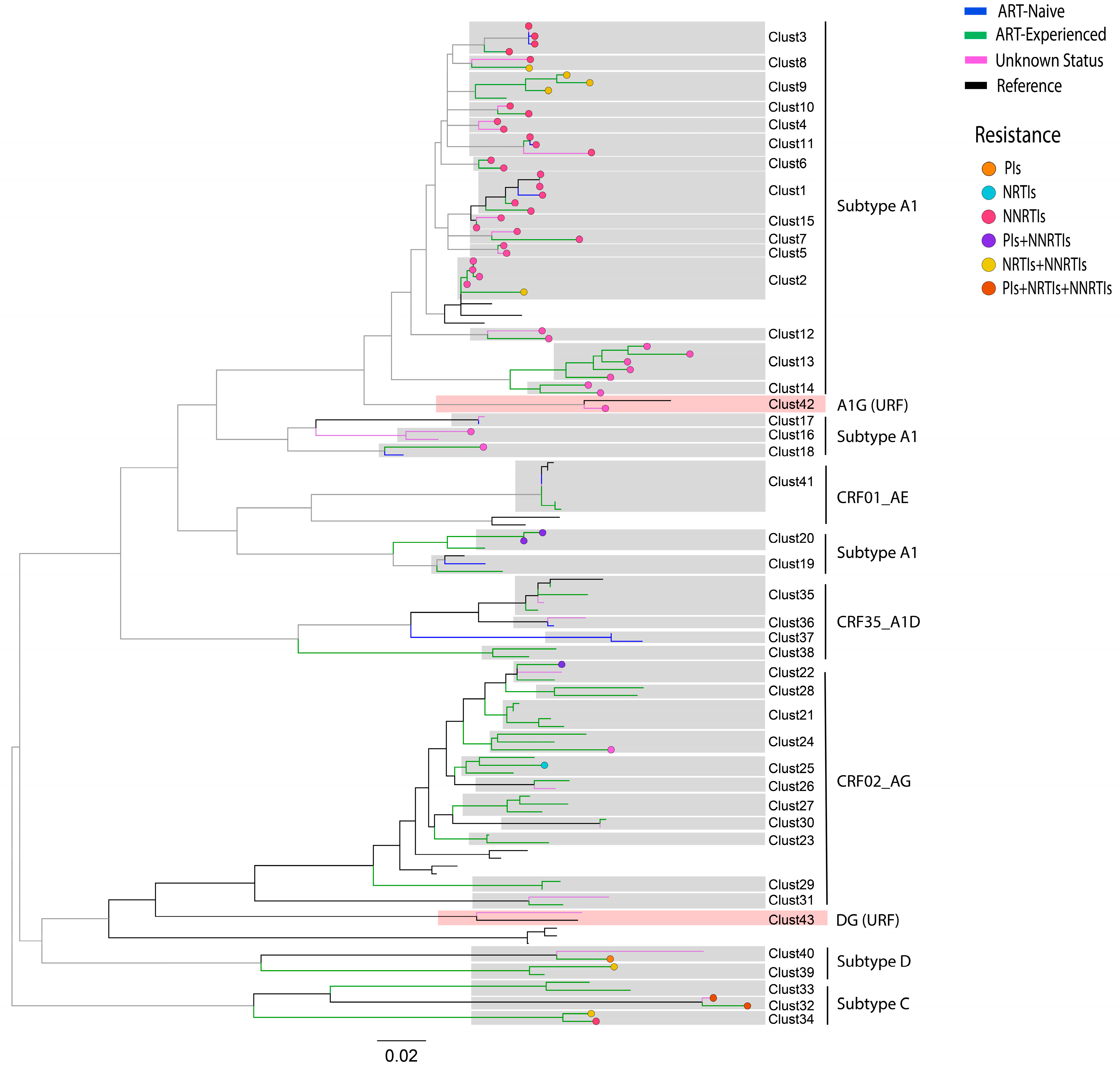 Viruses 16 00962 g004