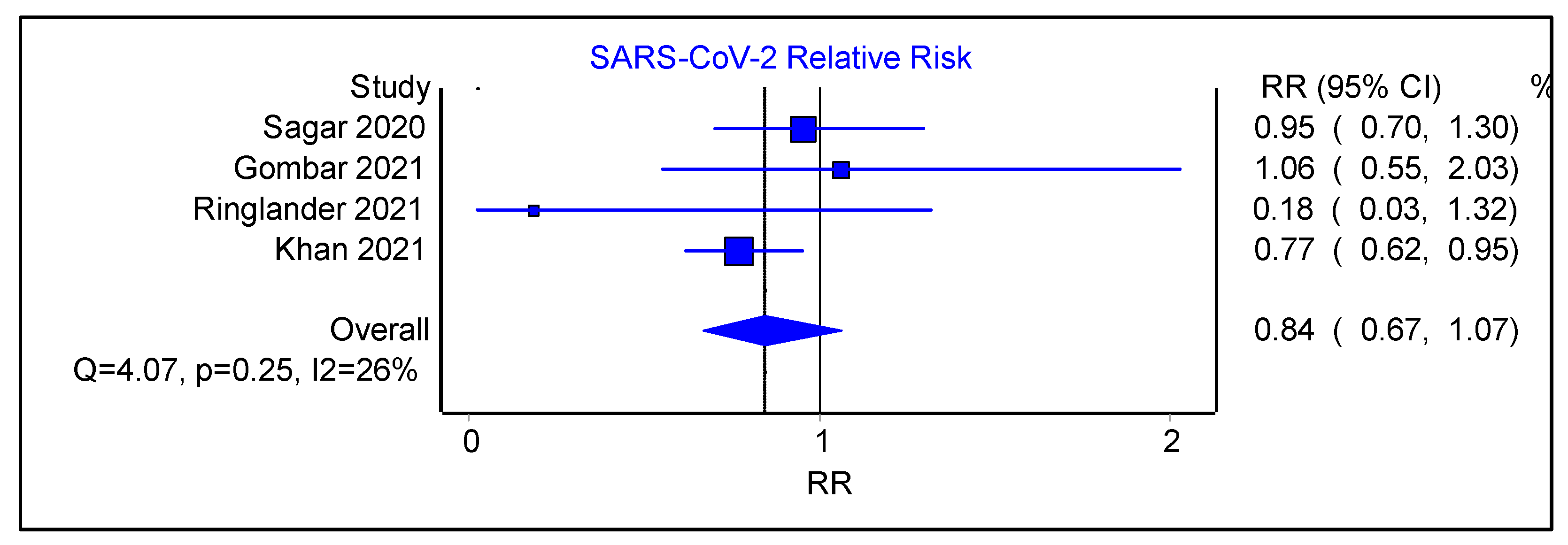Viruses 16 00982 g008