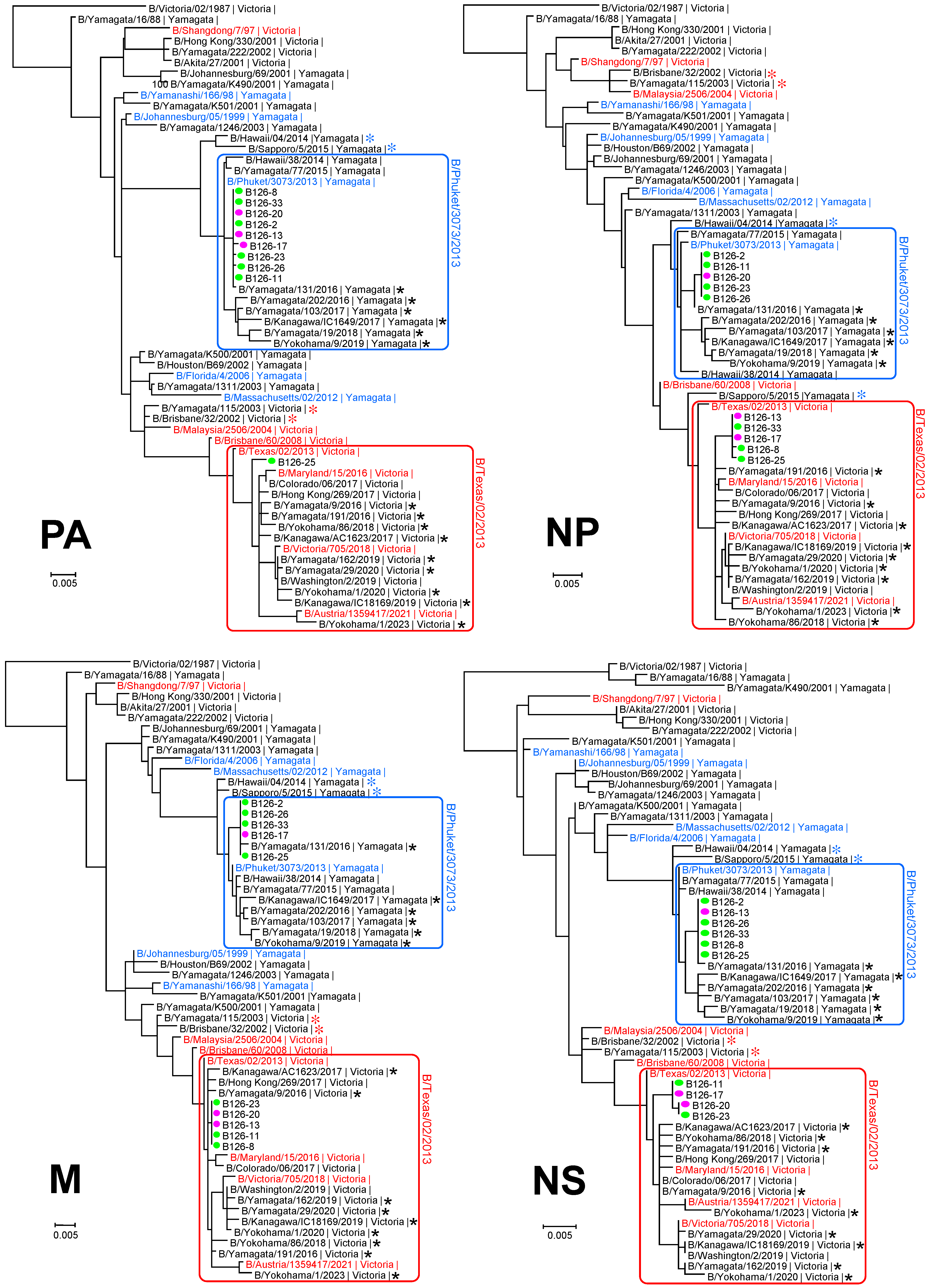 Viruses 16 00983 g002b