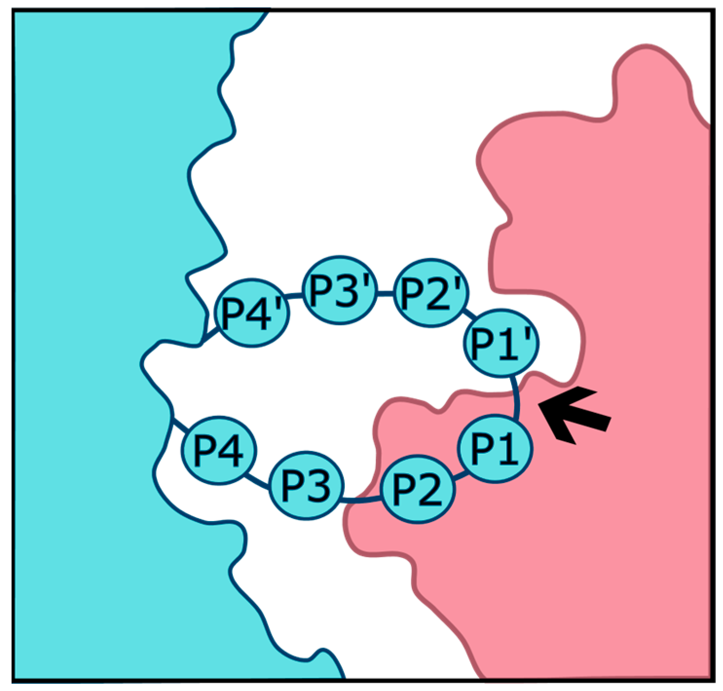 Viruses 16 00984 g001