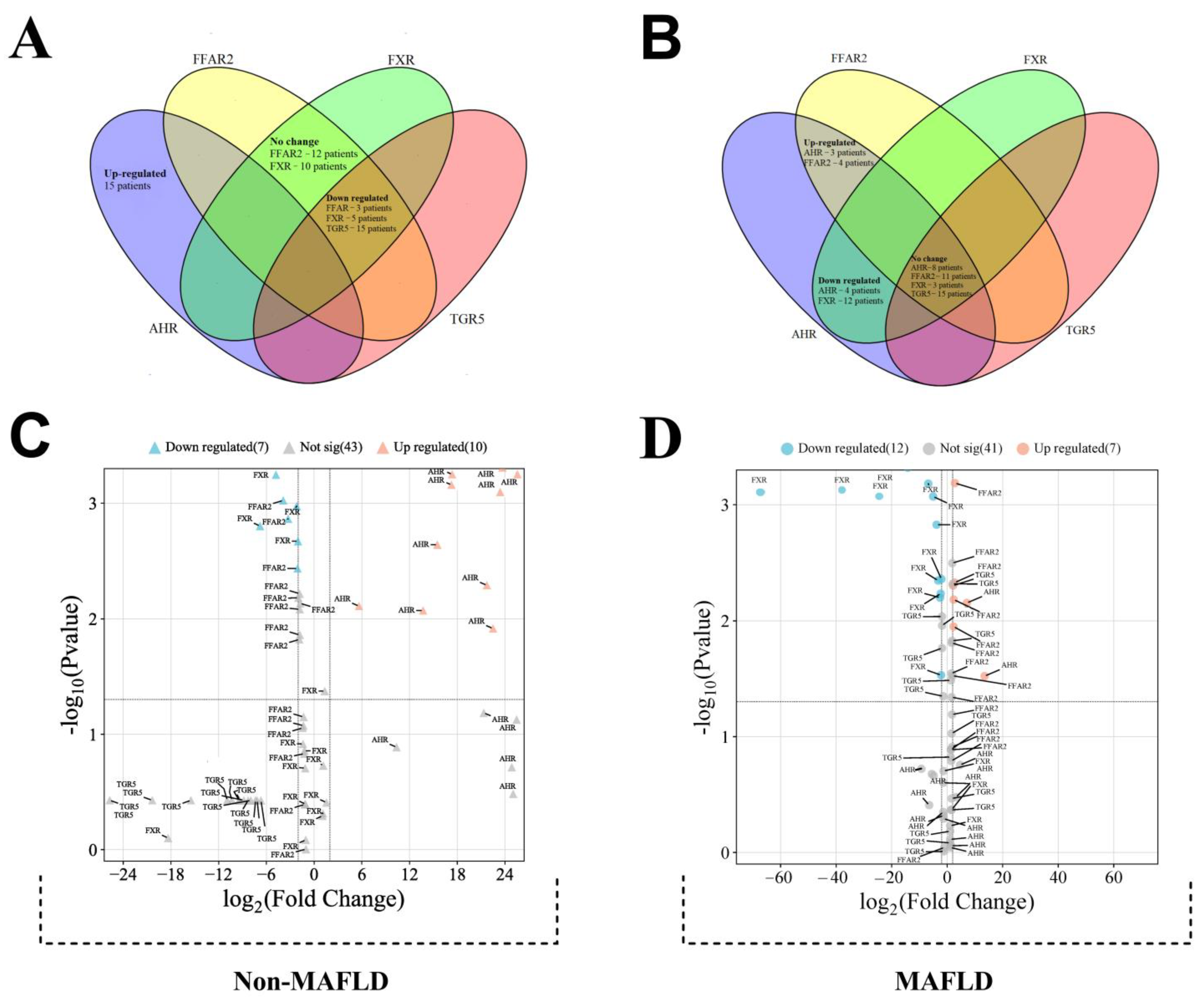 Viruses 16 00985 g002