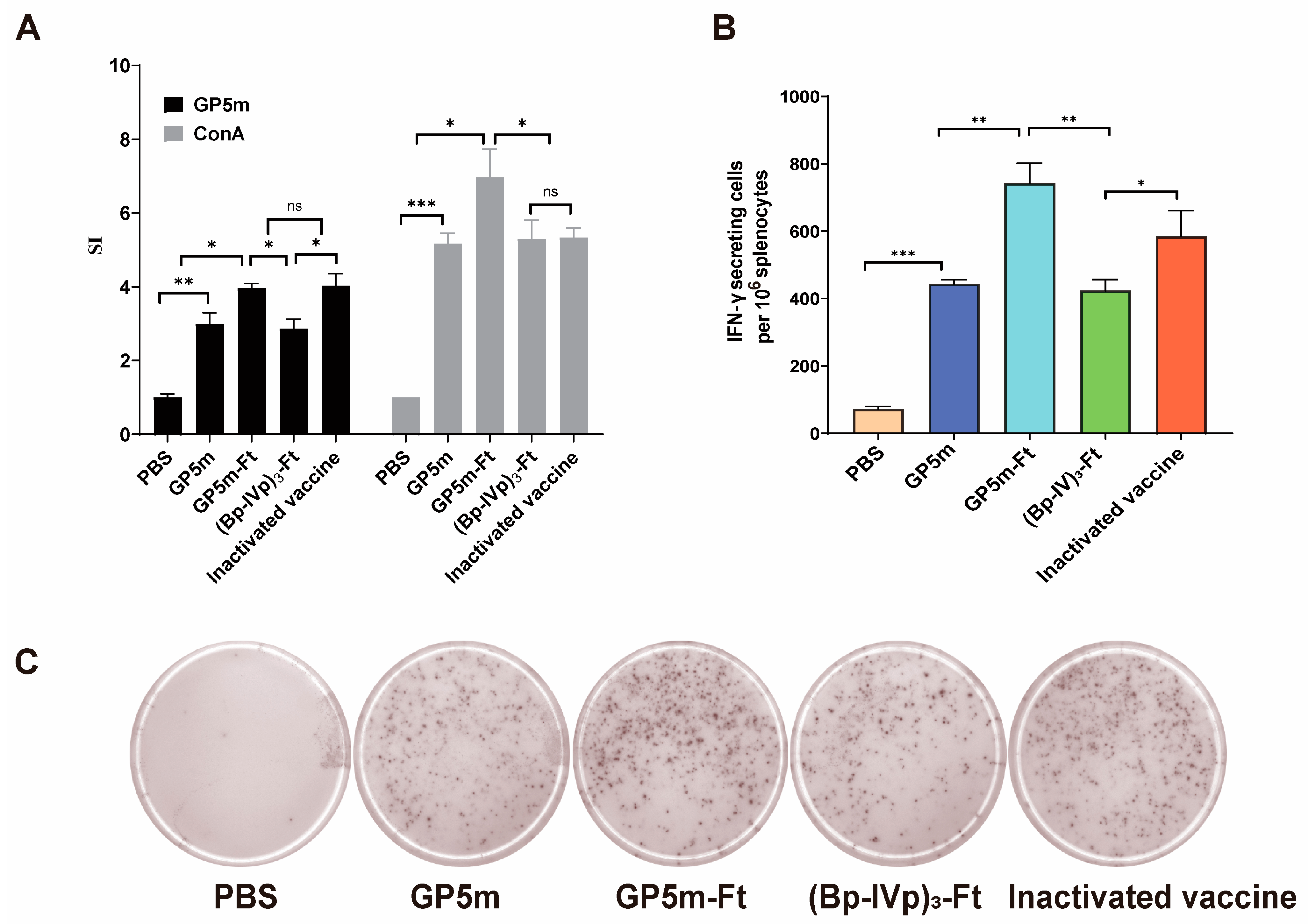 Viruses 16 00991 g003