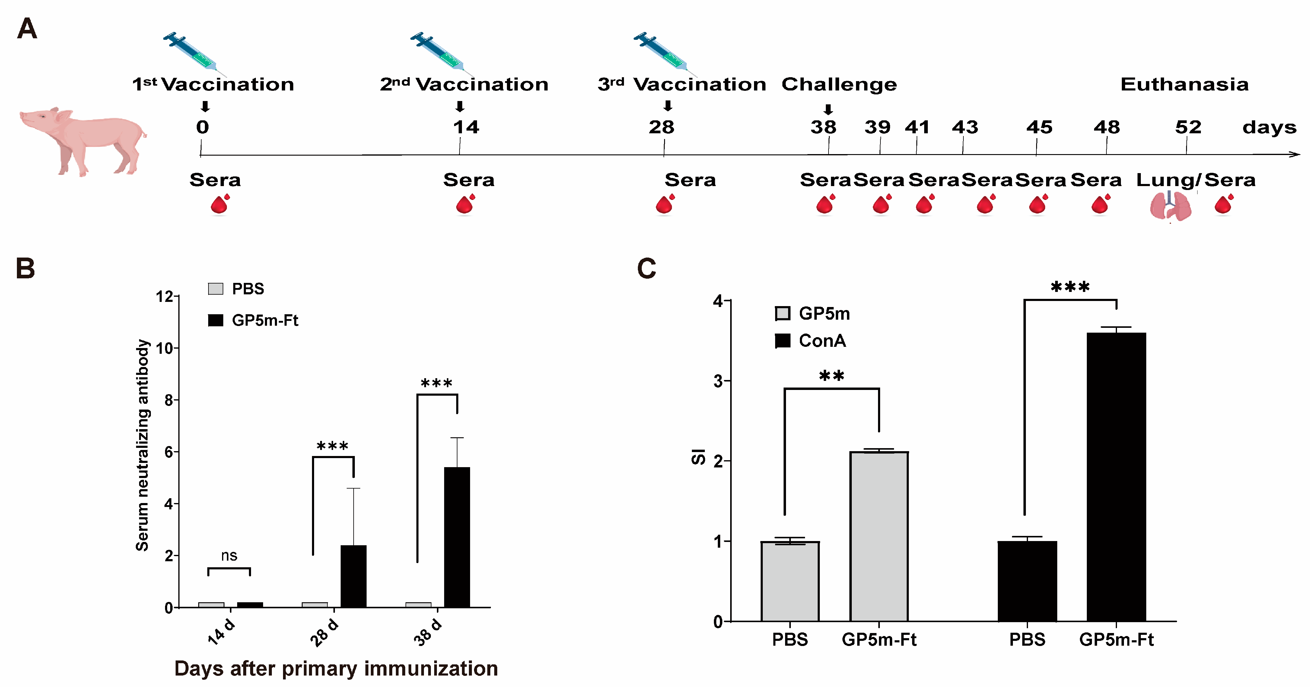 Viruses 16 00991 g004