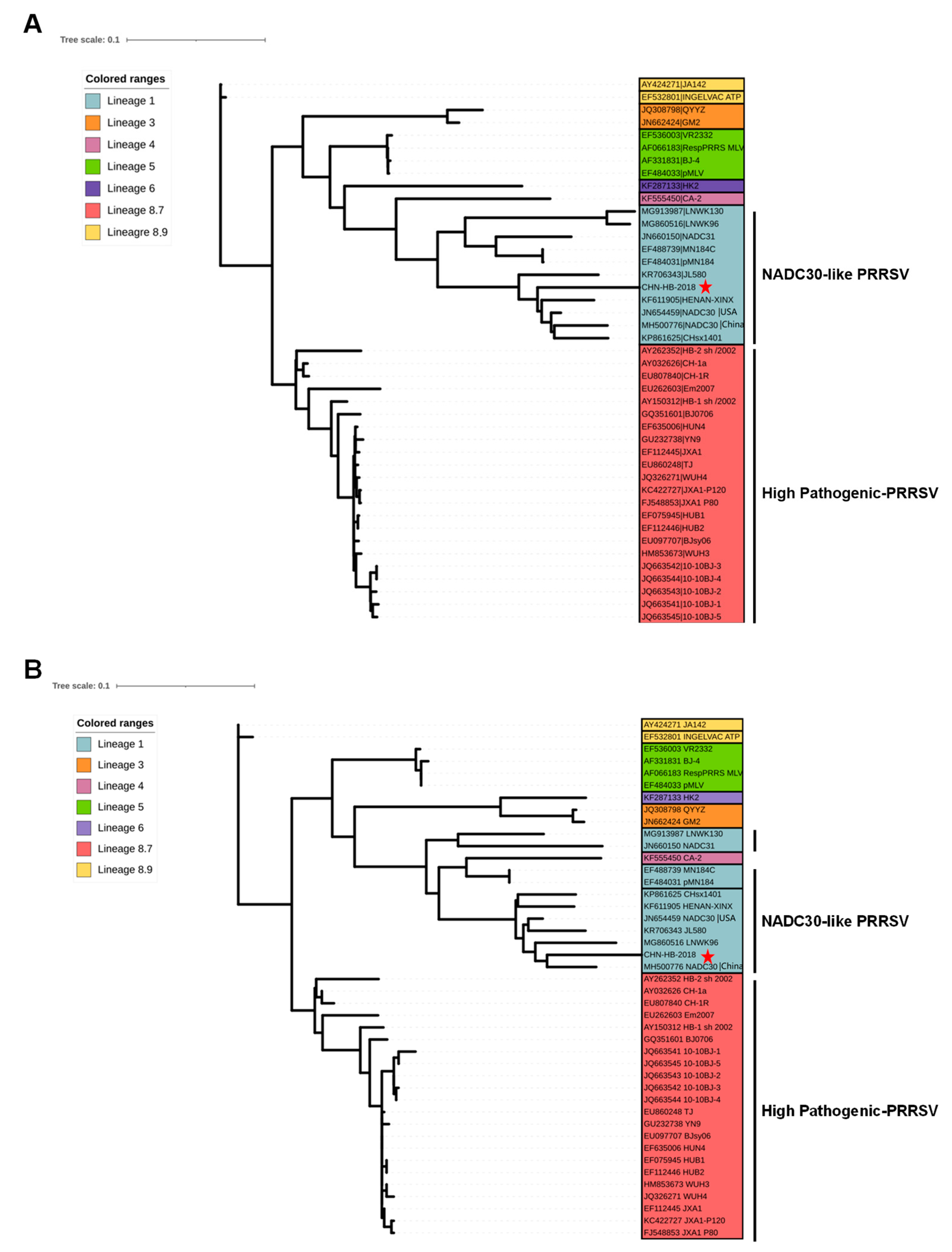 Viruses 16 00993 g003