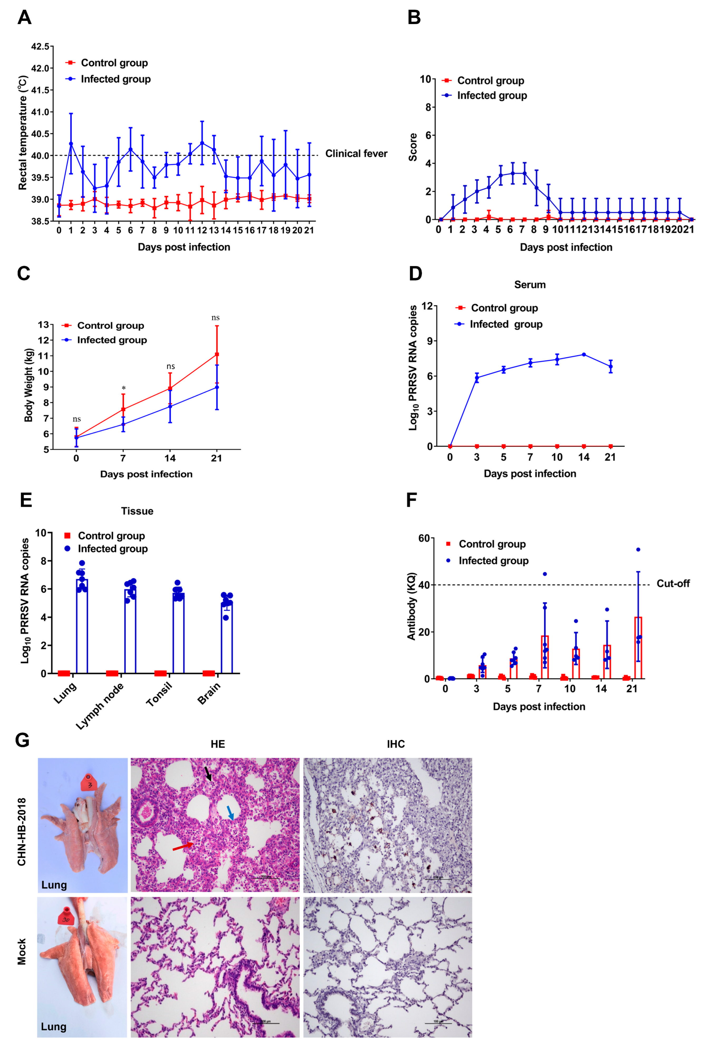 Viruses 16 00993 g008