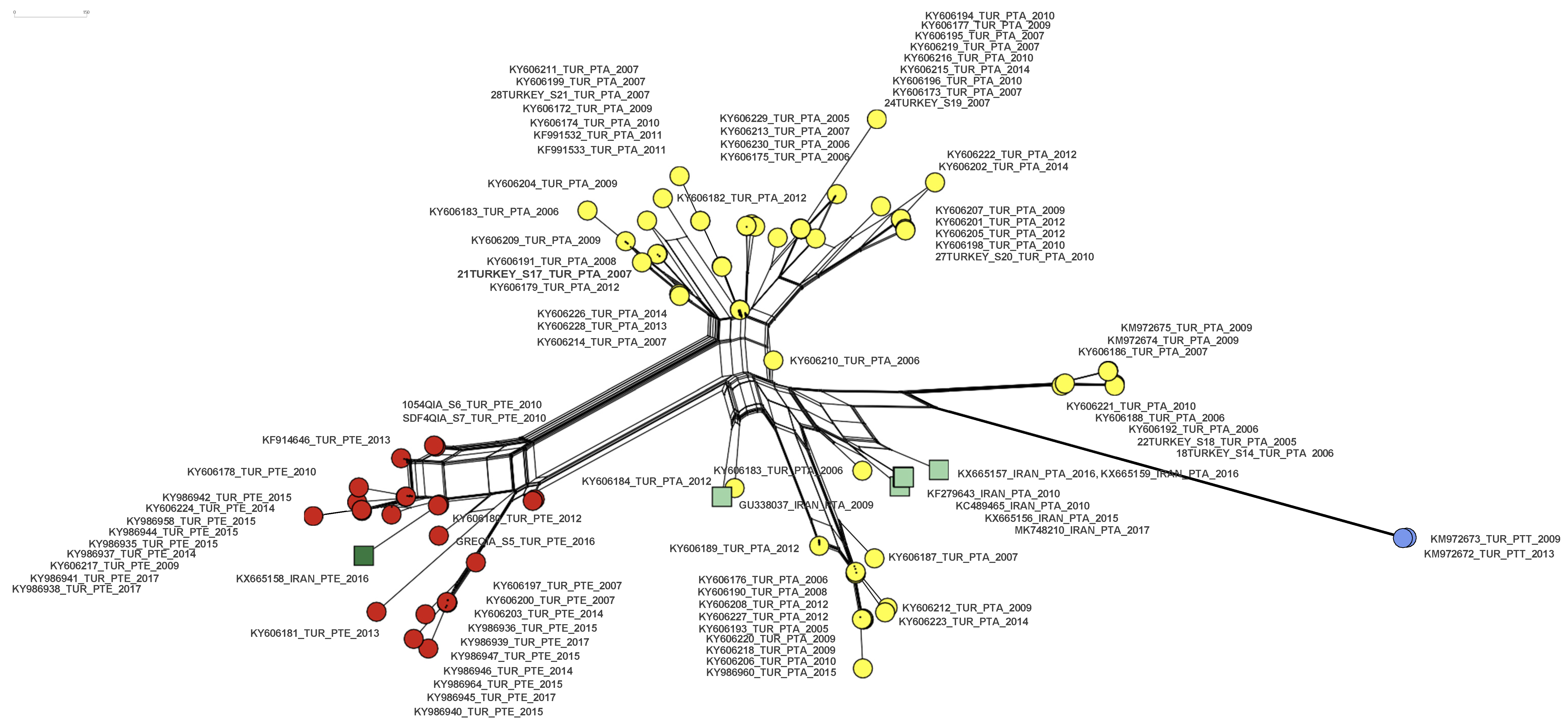 Viruses 16 00994 g004 Viruses 16 00994 g004