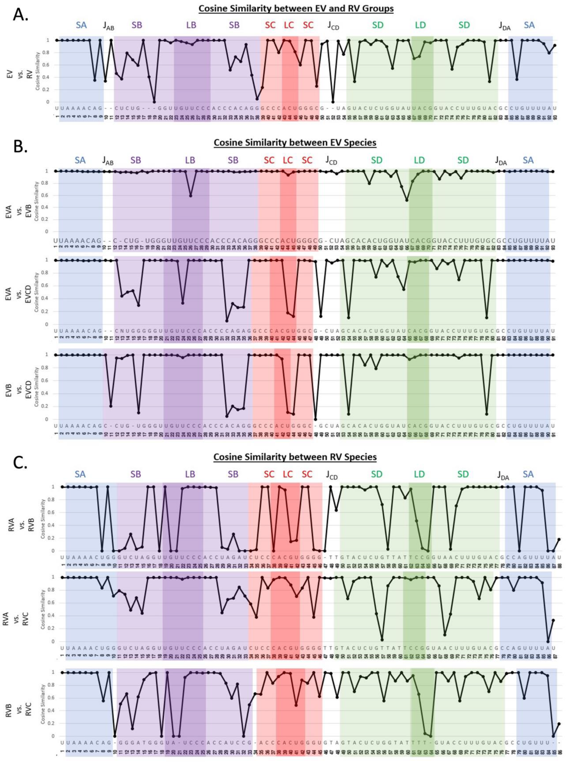 Viruses 16 01009 g007 Viruses 16 01009 g007