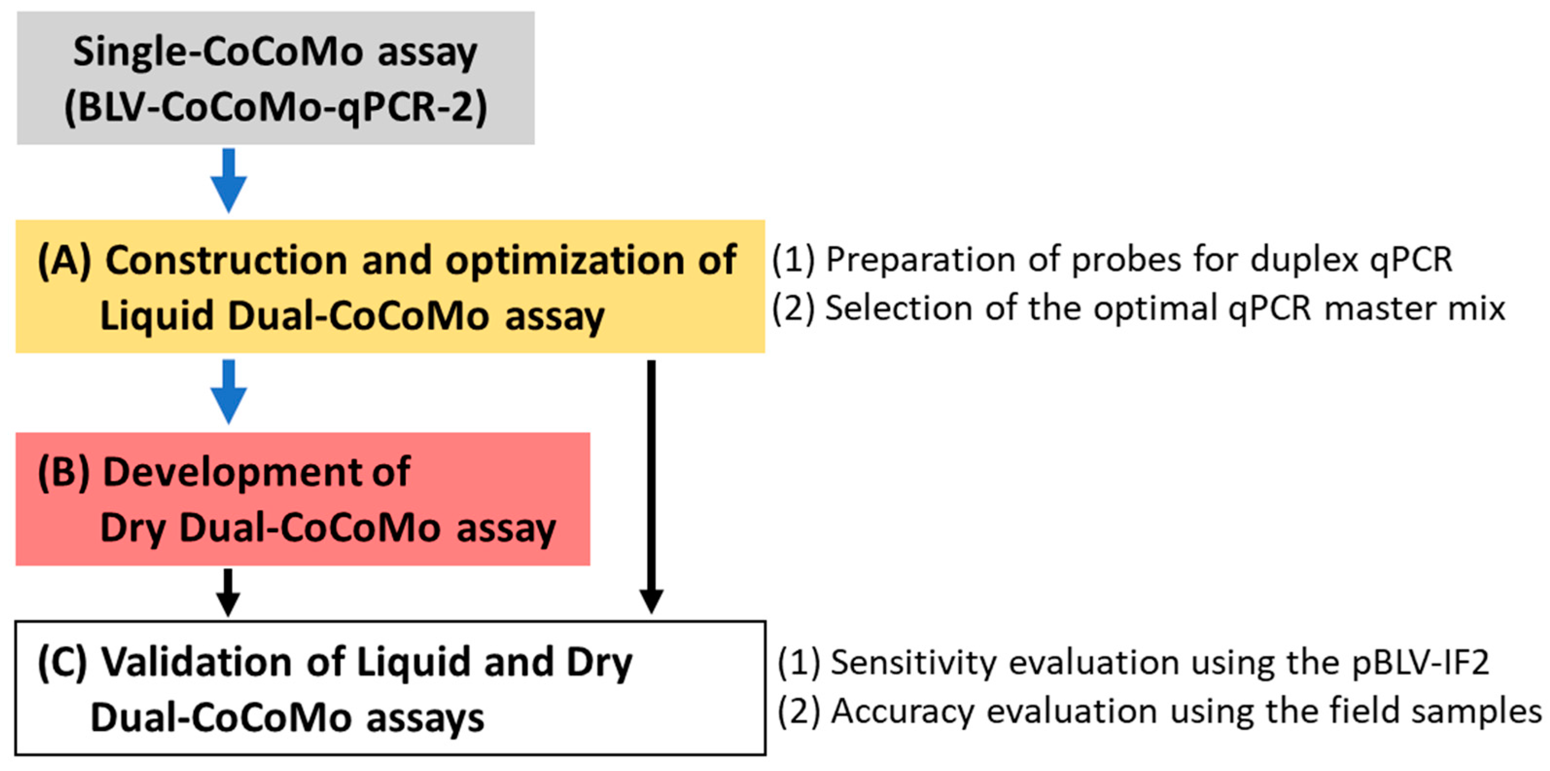 Viruses 16 01016 g001 Viruses 16 01016 g001