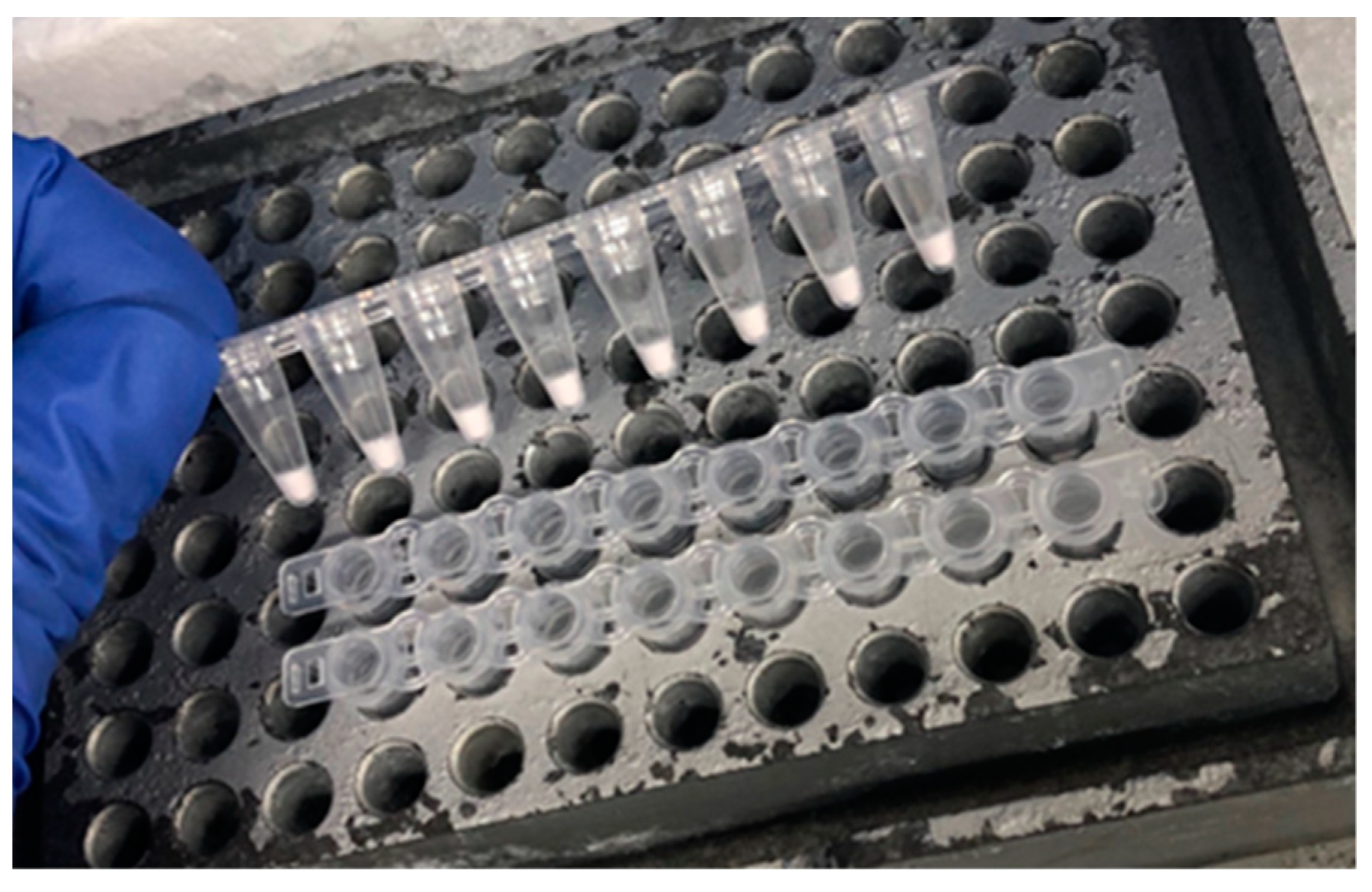 Viruses 16 01016 g004 Viruses 16 01016 g004