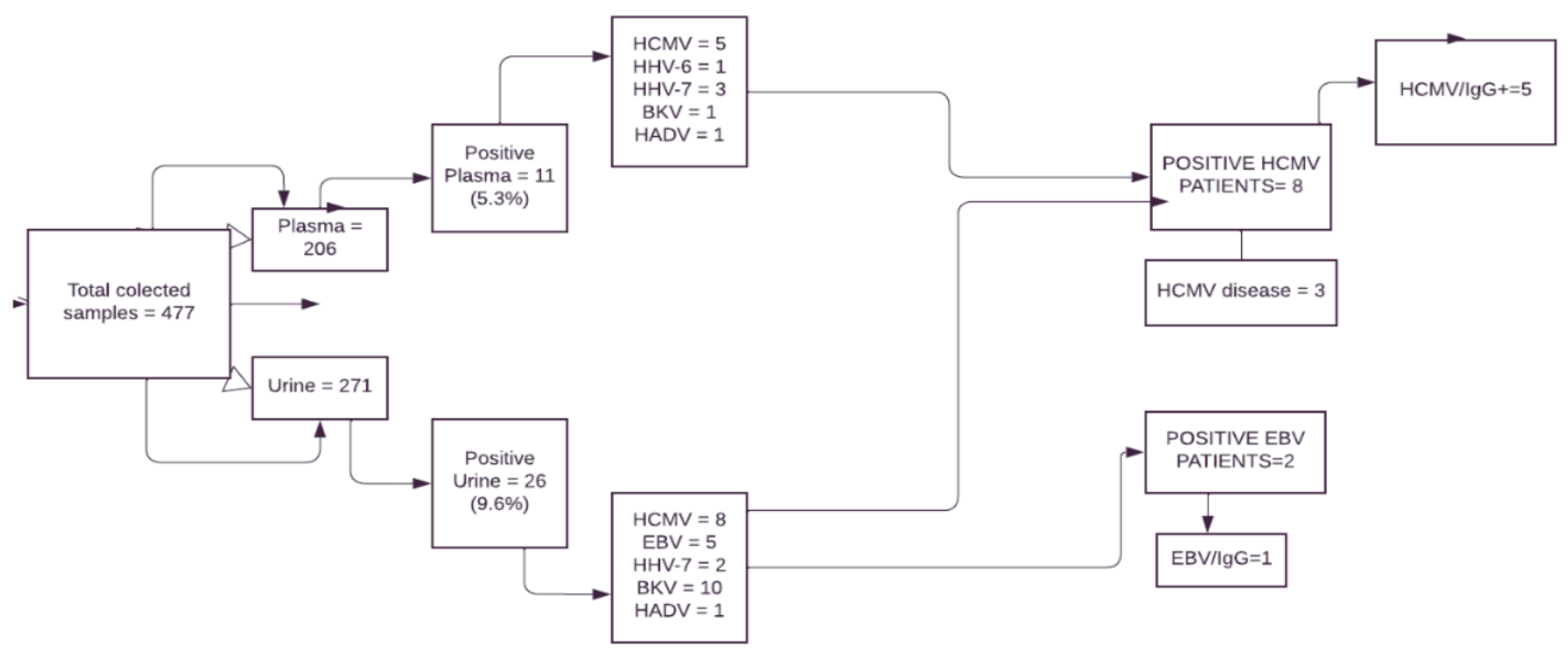 Viruses 16 01017 g002