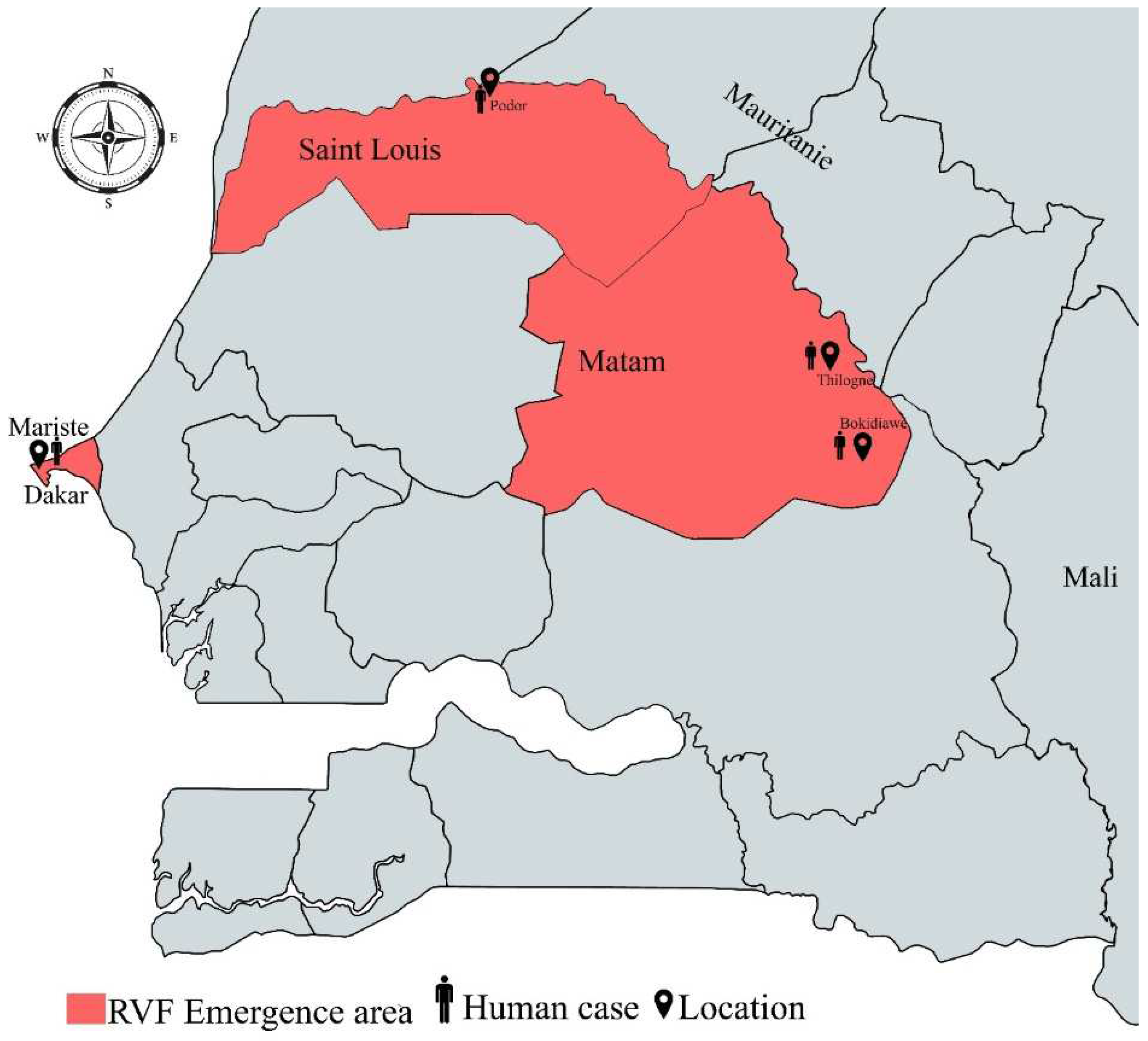 Viruses 16 01018 g001