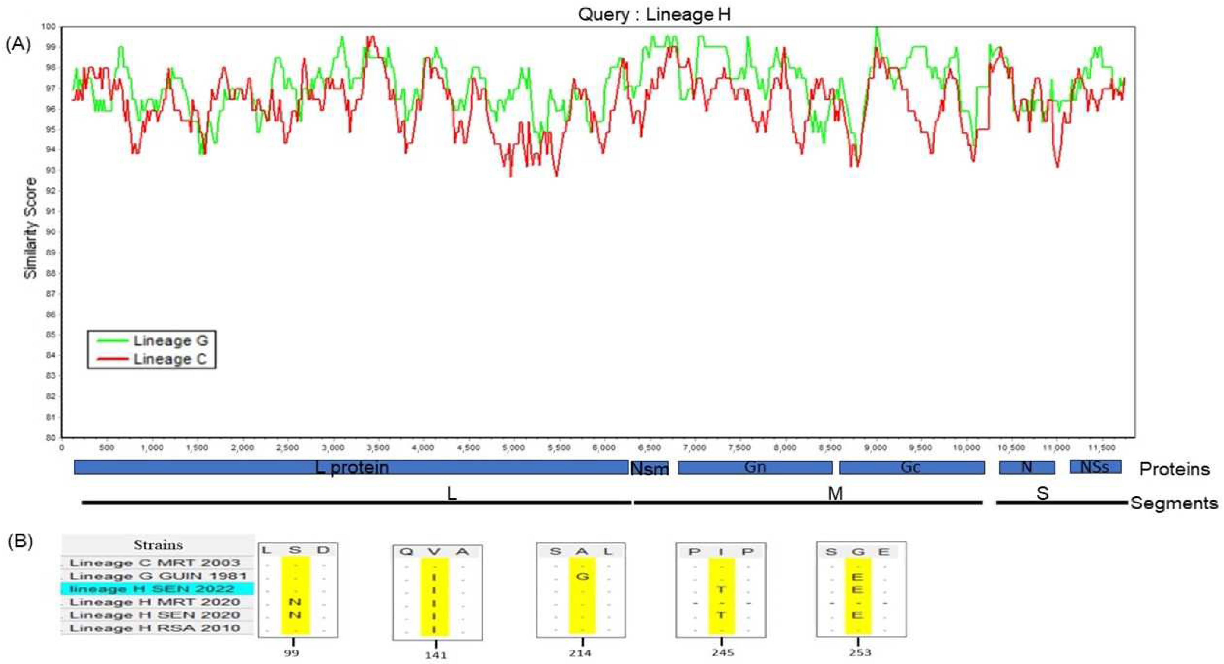 Viruses 16 01018 g004