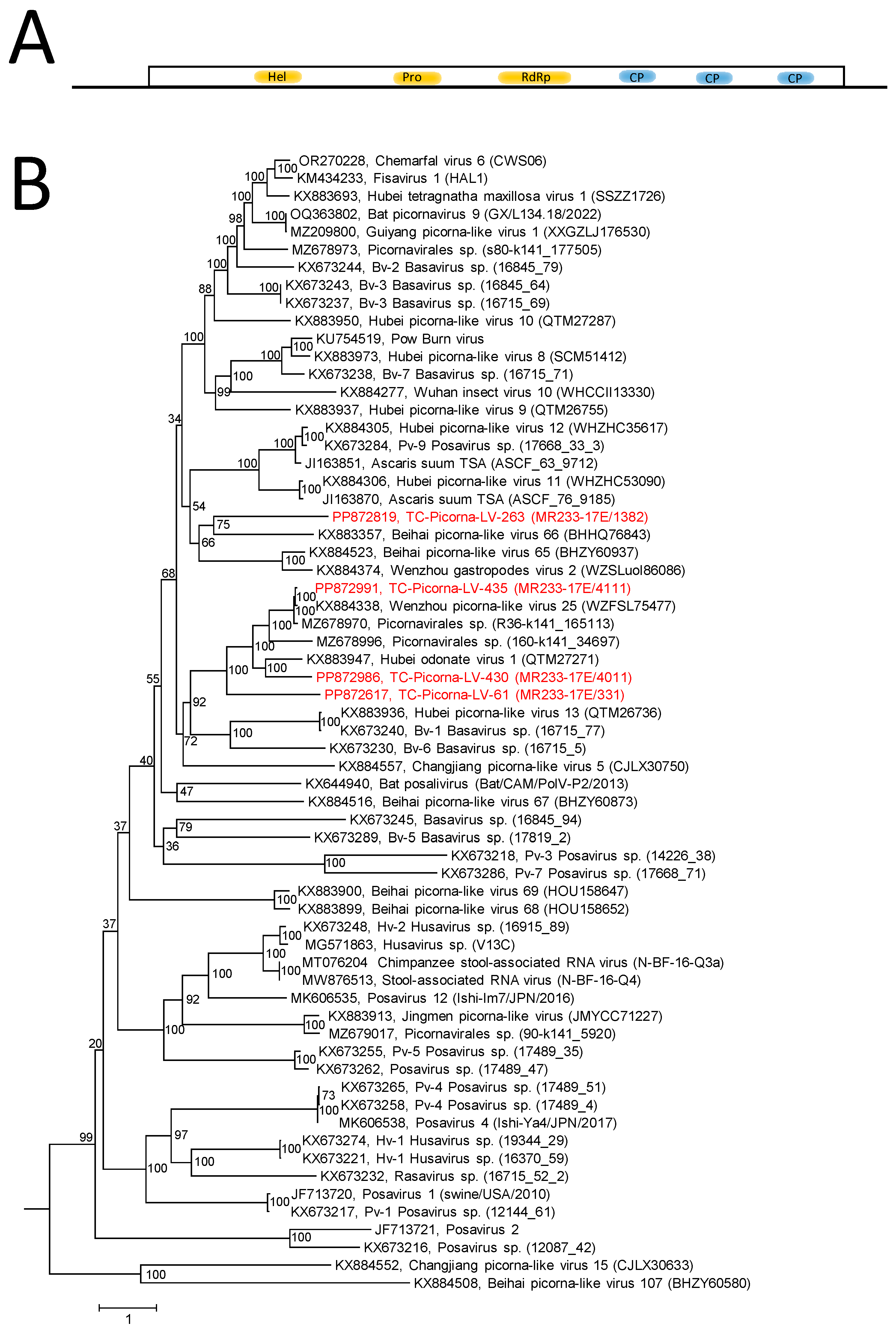 Viruses 16 01020 g008