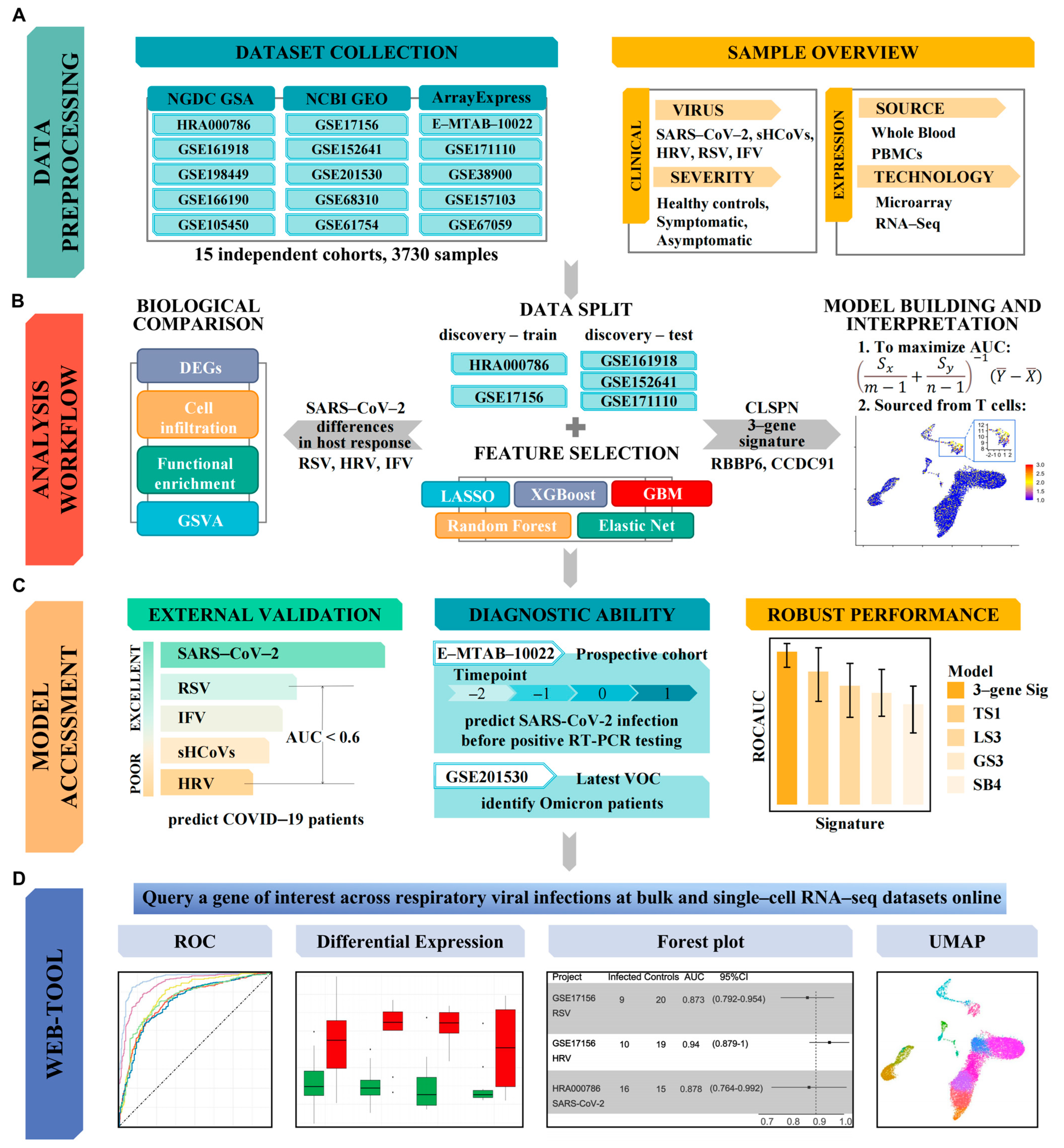 Viruses 16 01029 g001