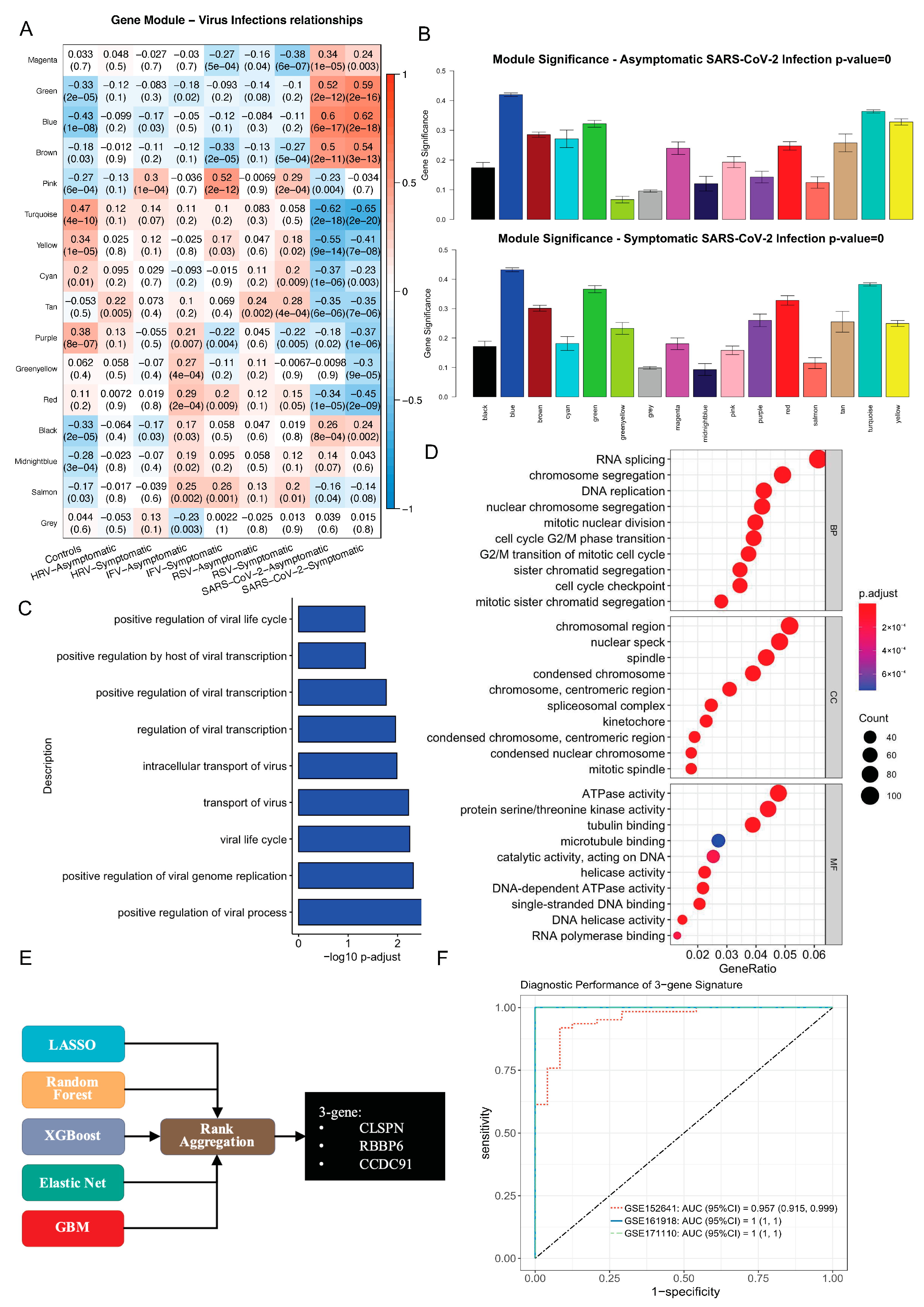 Viruses 16 01029 g004