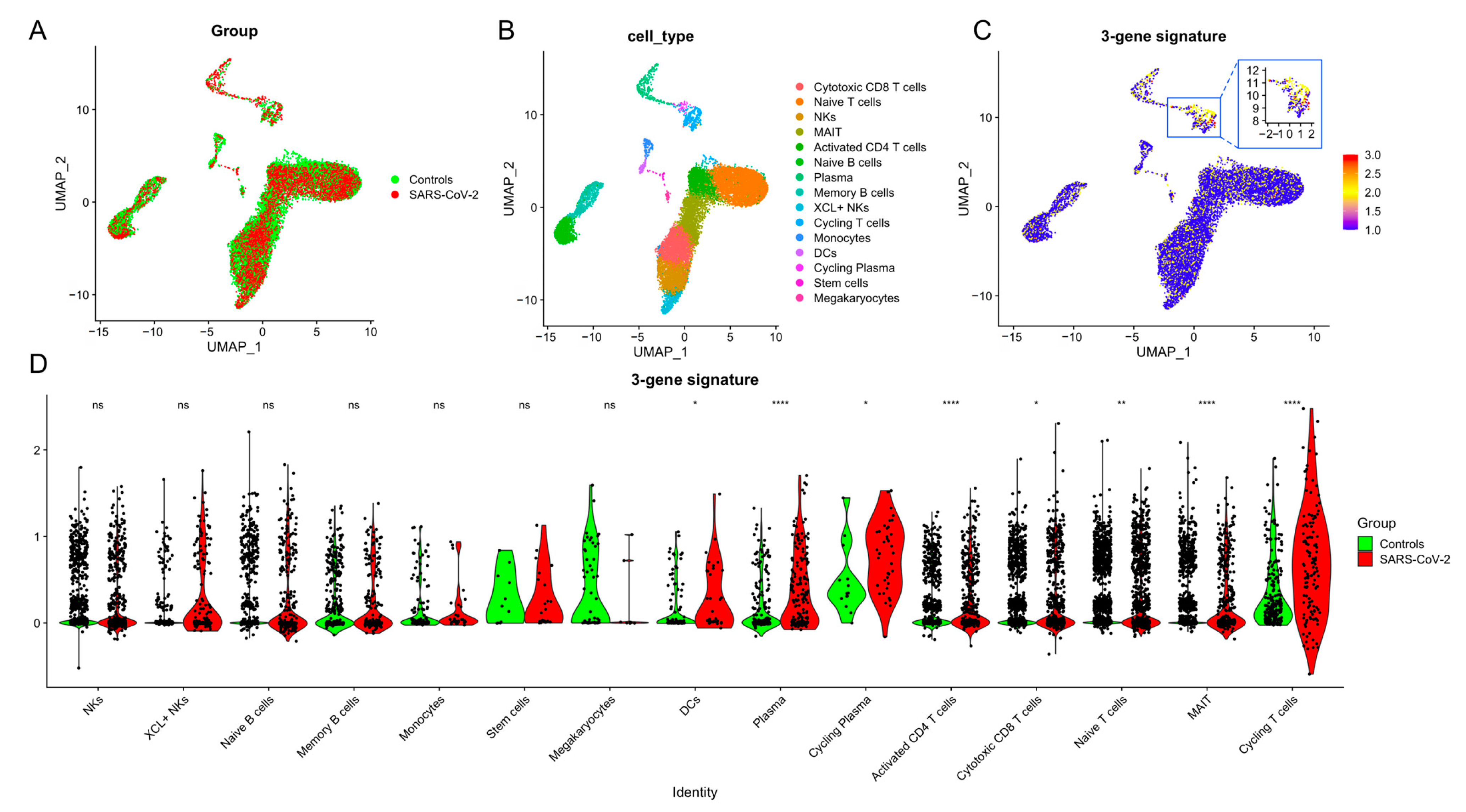 Viruses 16 01029 g005
