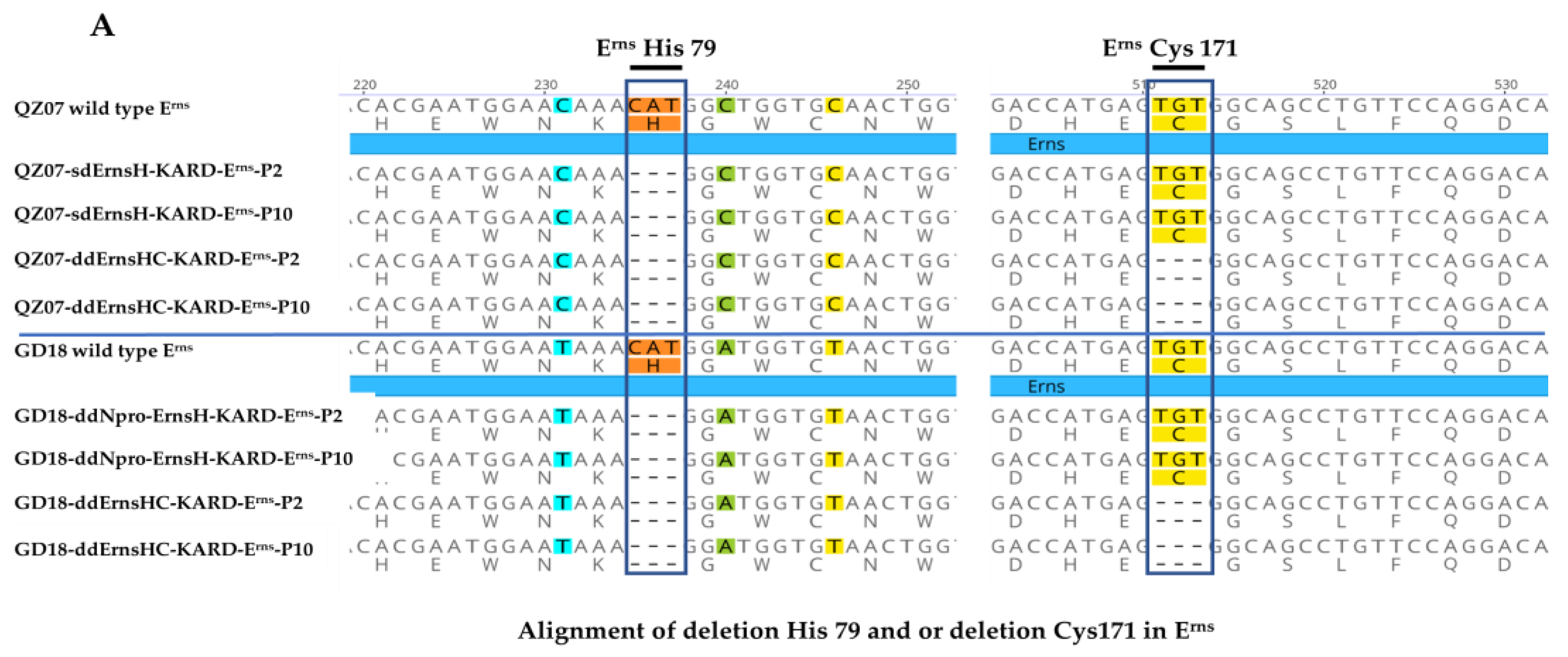 Viruses 16 01043 g003a