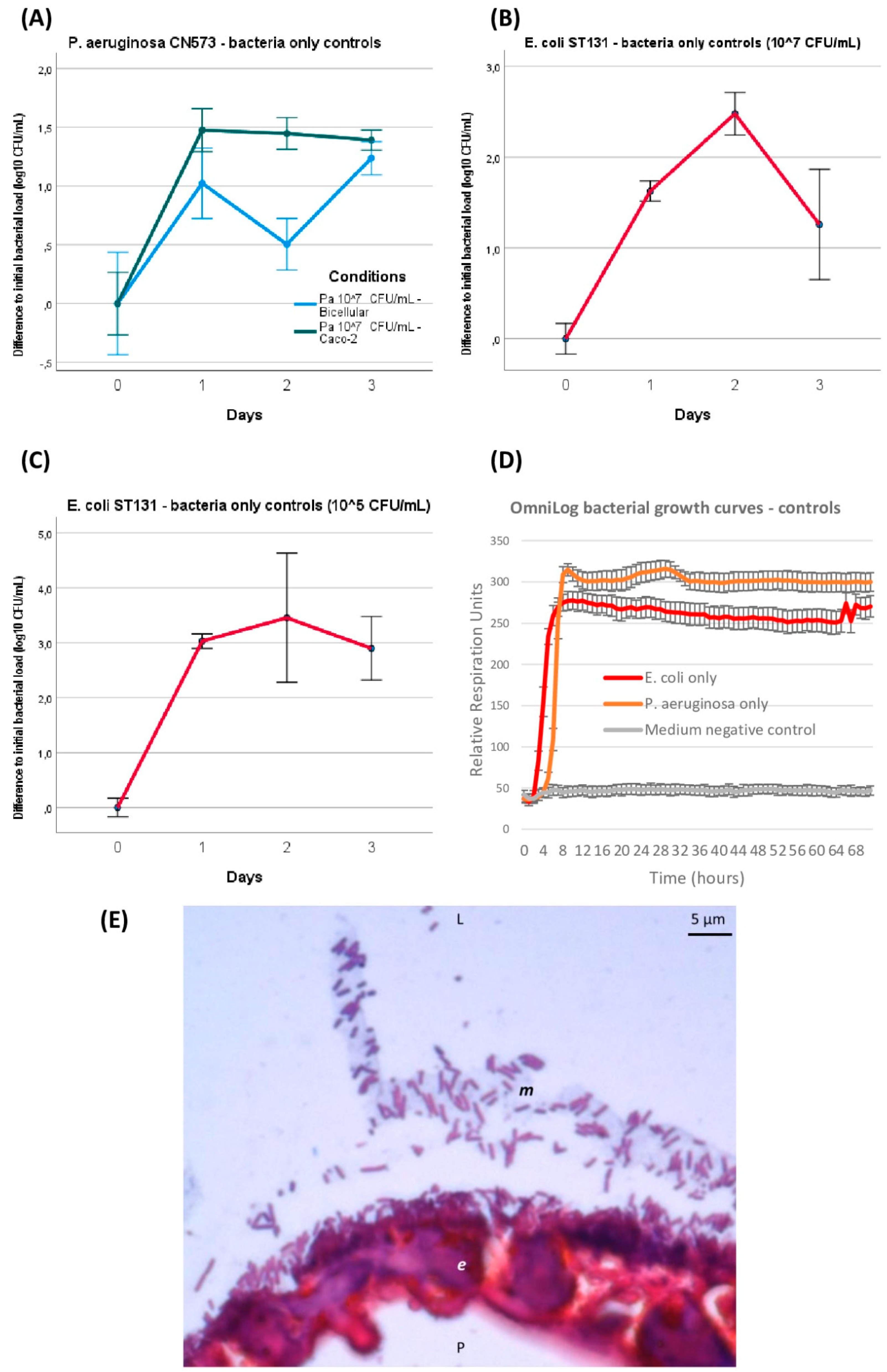Viruses 16 01047 g003