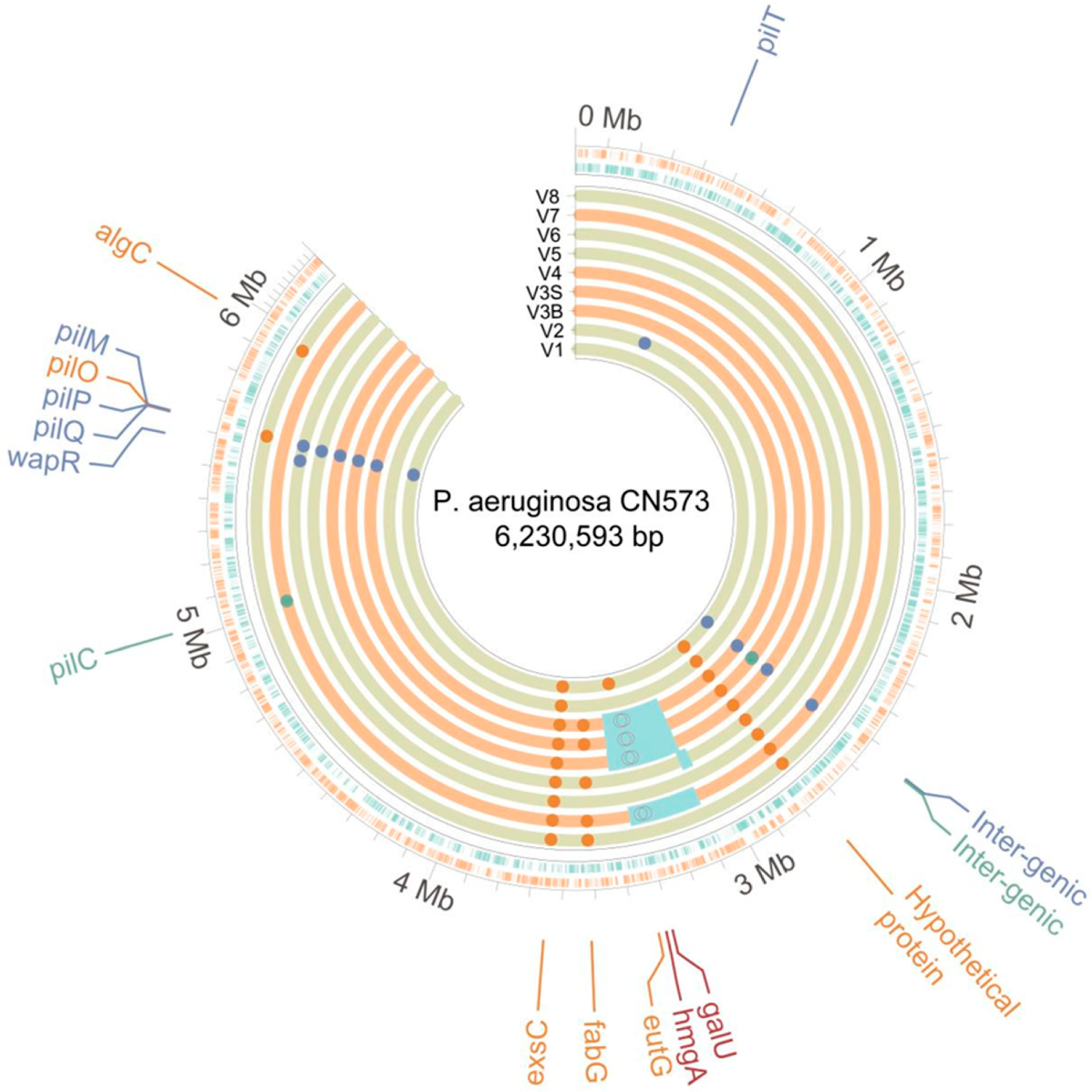 Viruses 16 01047 g005