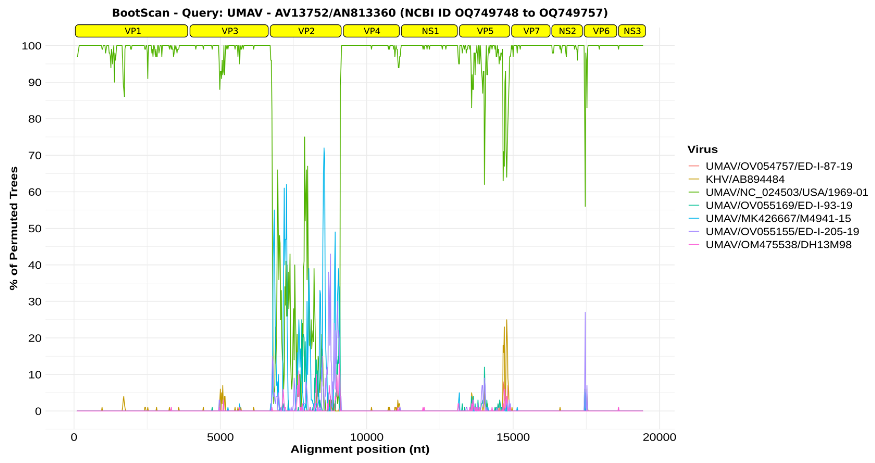 Viruses 16 01050 g002