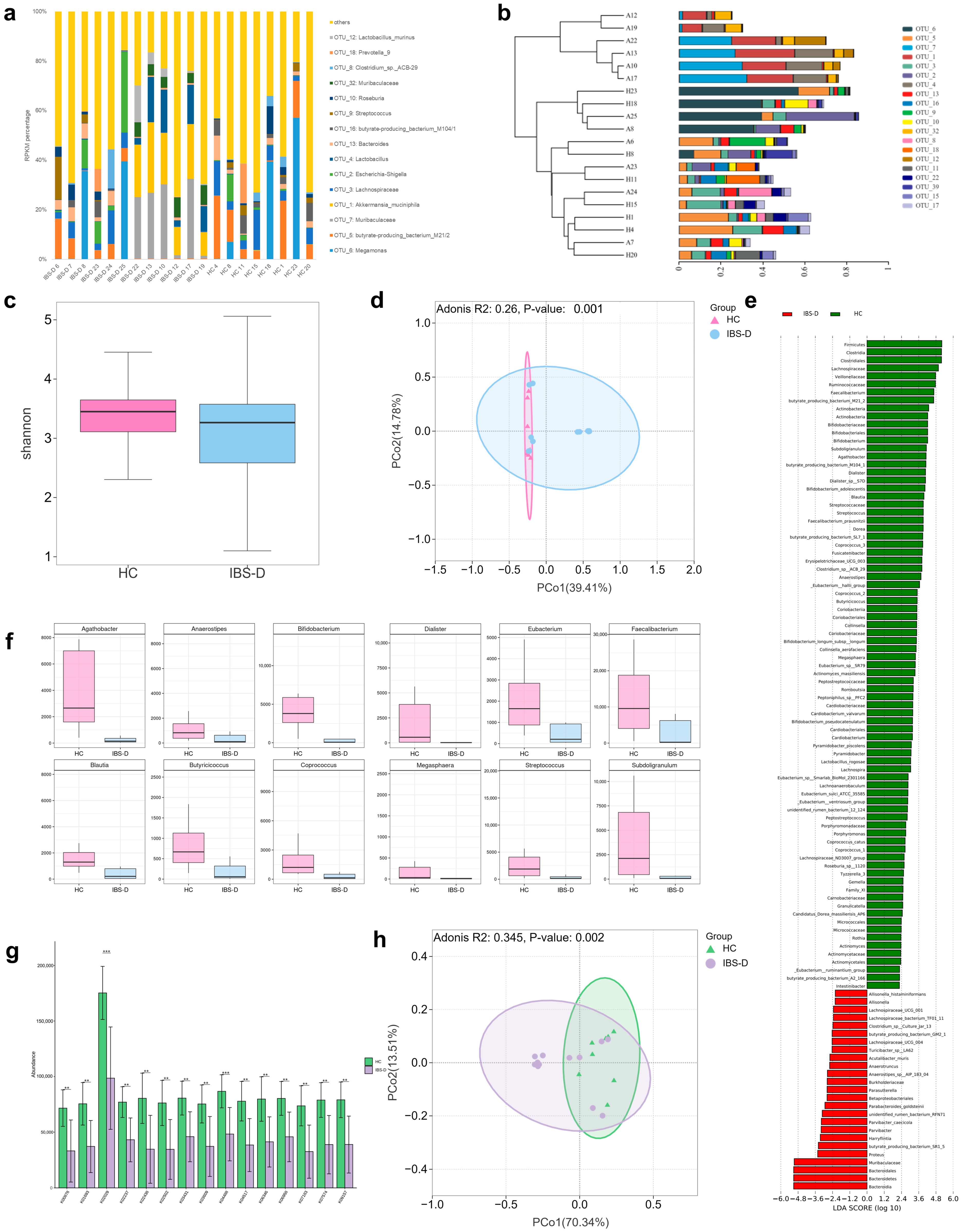 Viruses 16 01054 g003