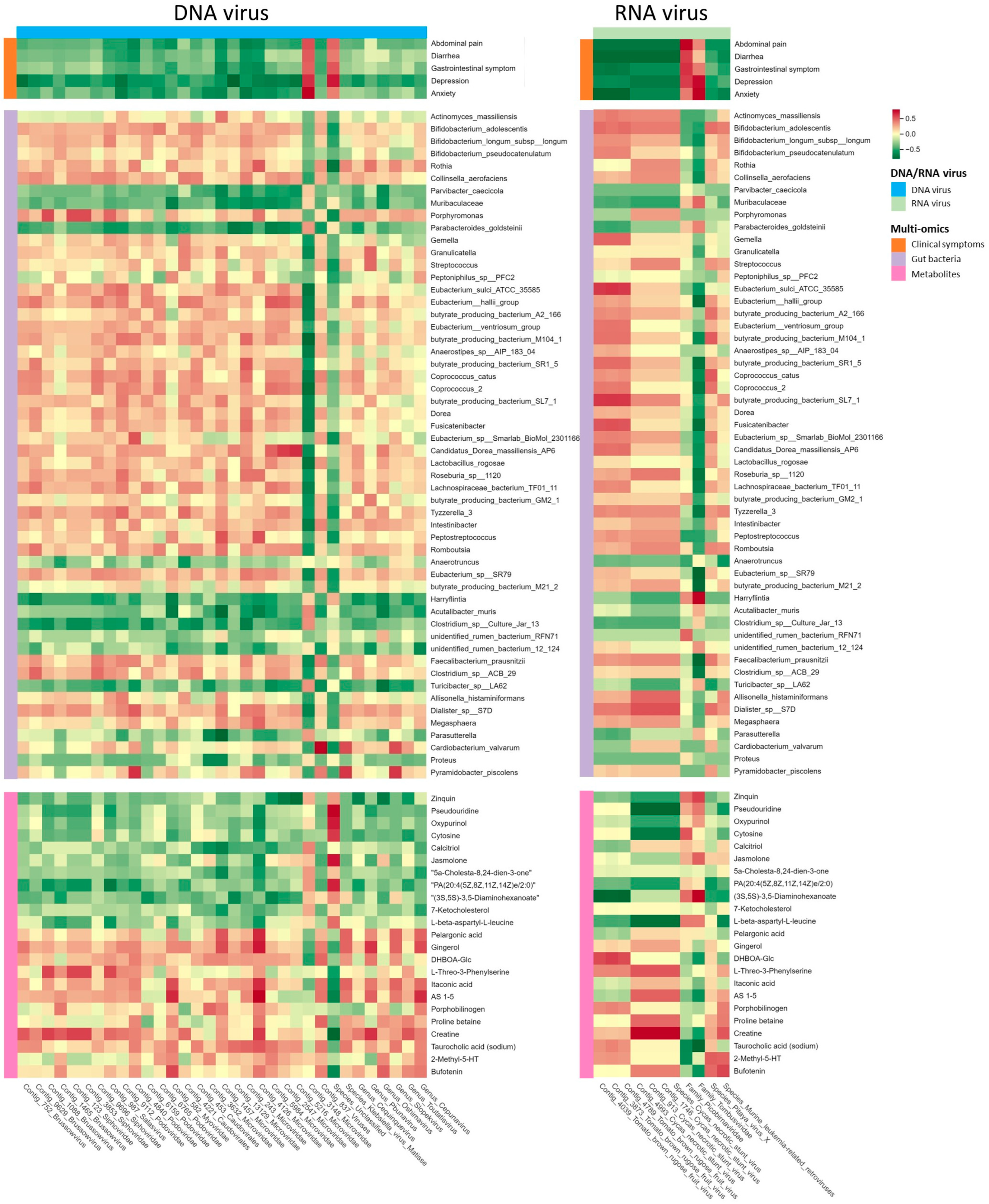 Viruses 16 01054 g004