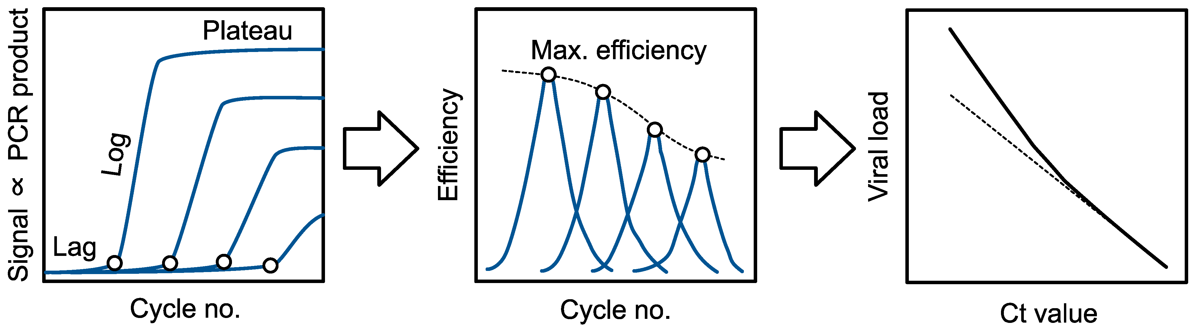 Viruses 16 01057 g002 Viruses 16 01057 g002