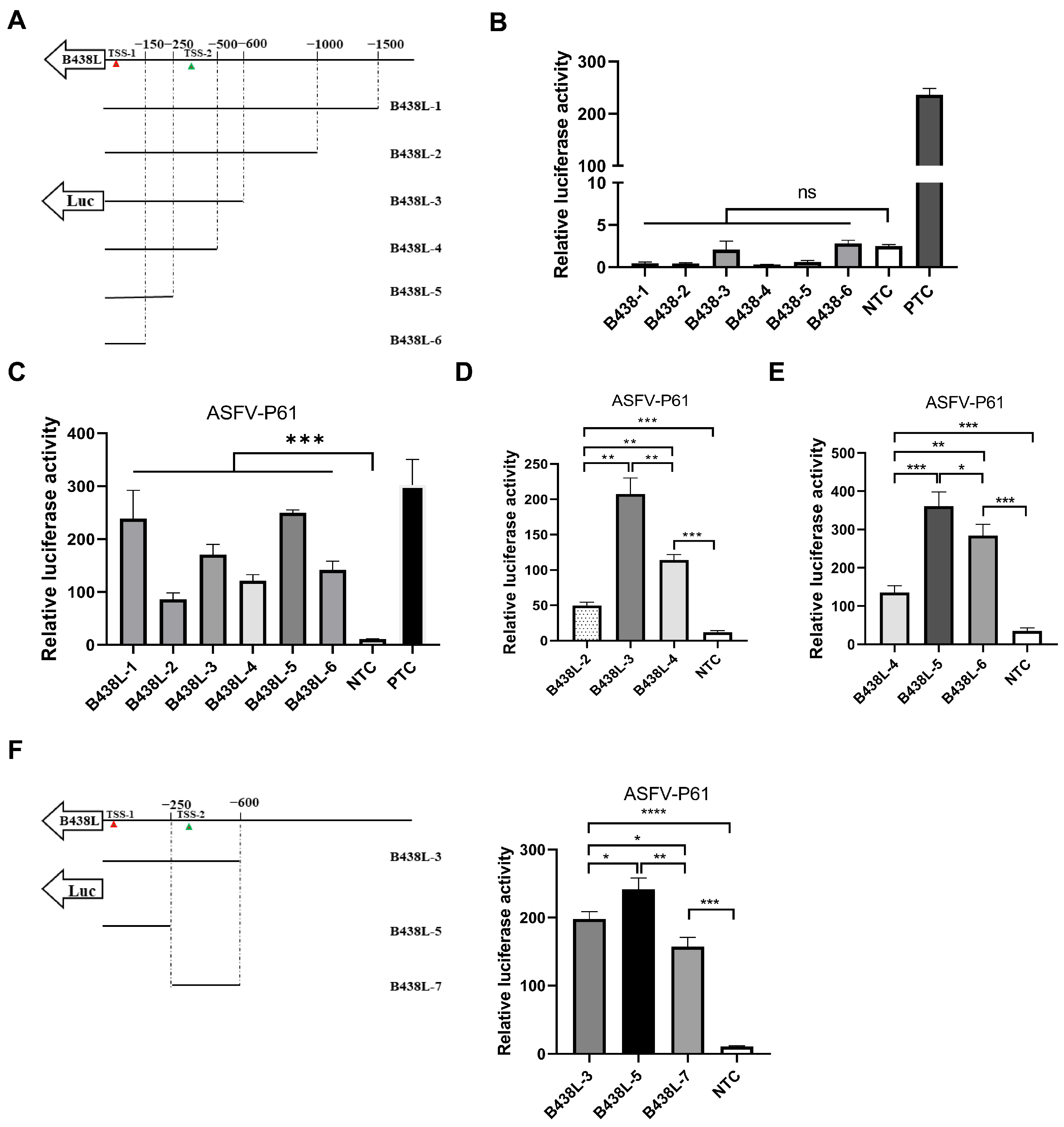 Viruses 16 01058 g002