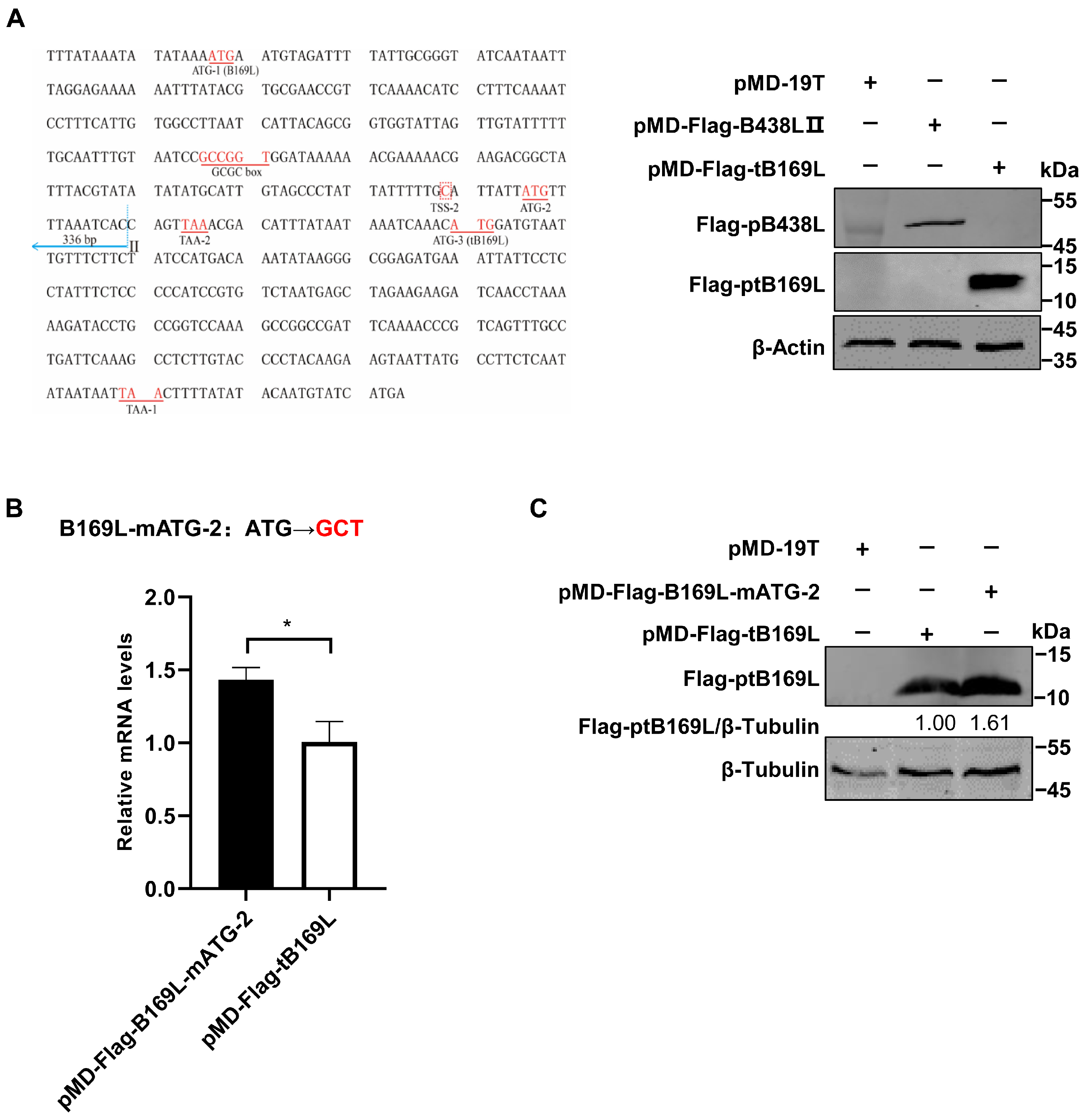 Viruses 16 01058 g004