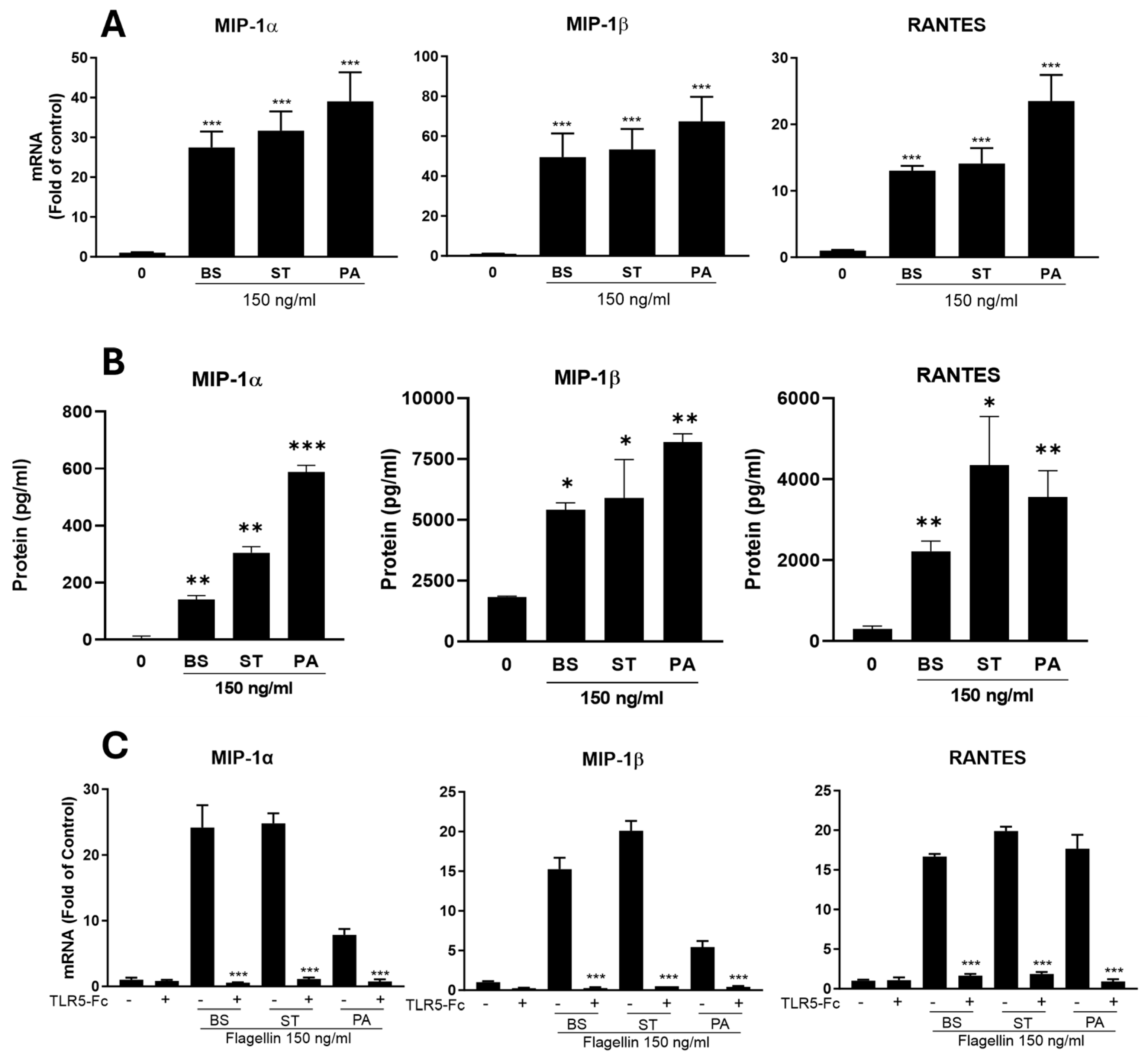 Viruses 16 01063 g003