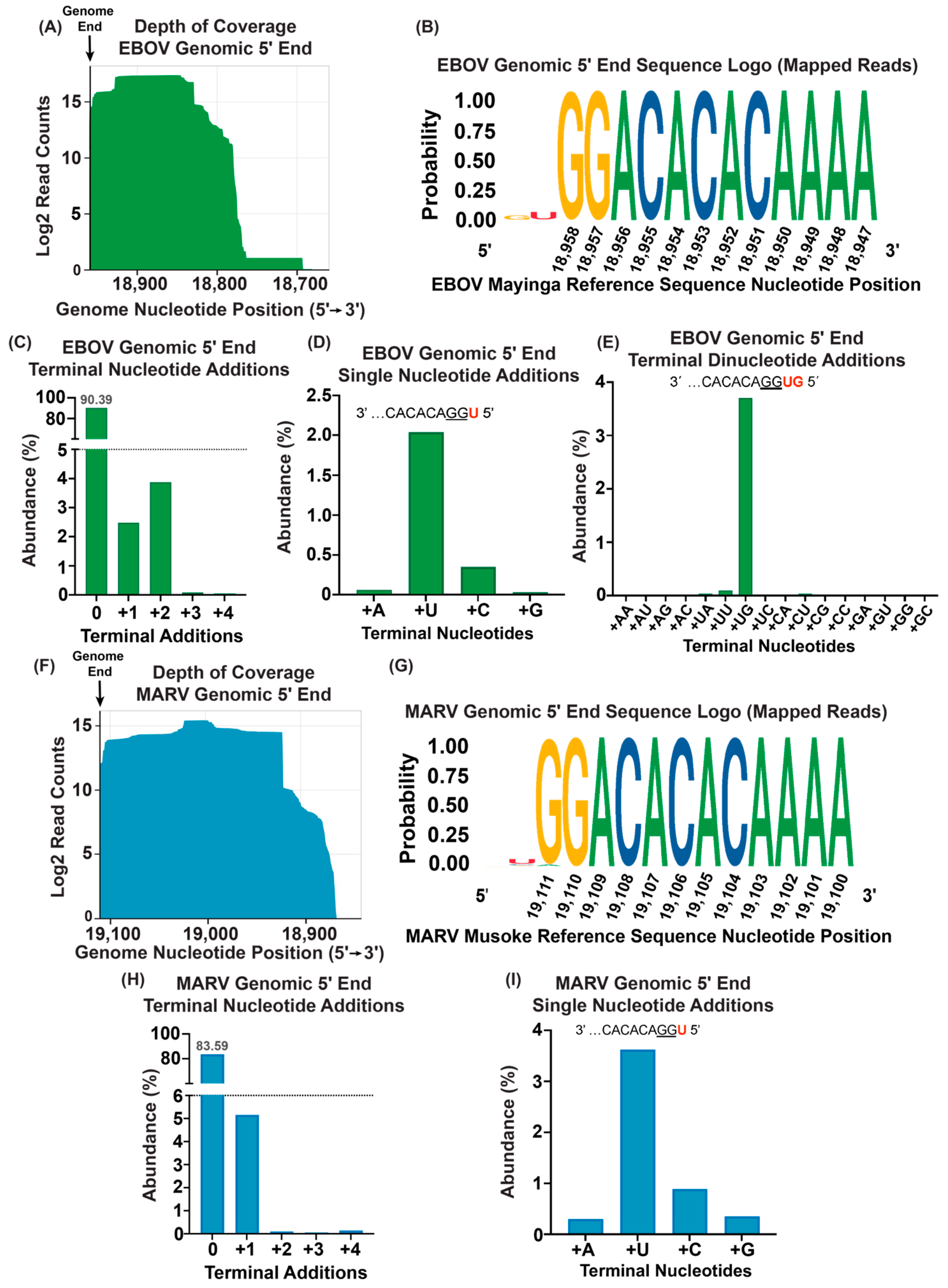 Viruses 16 01064 g002