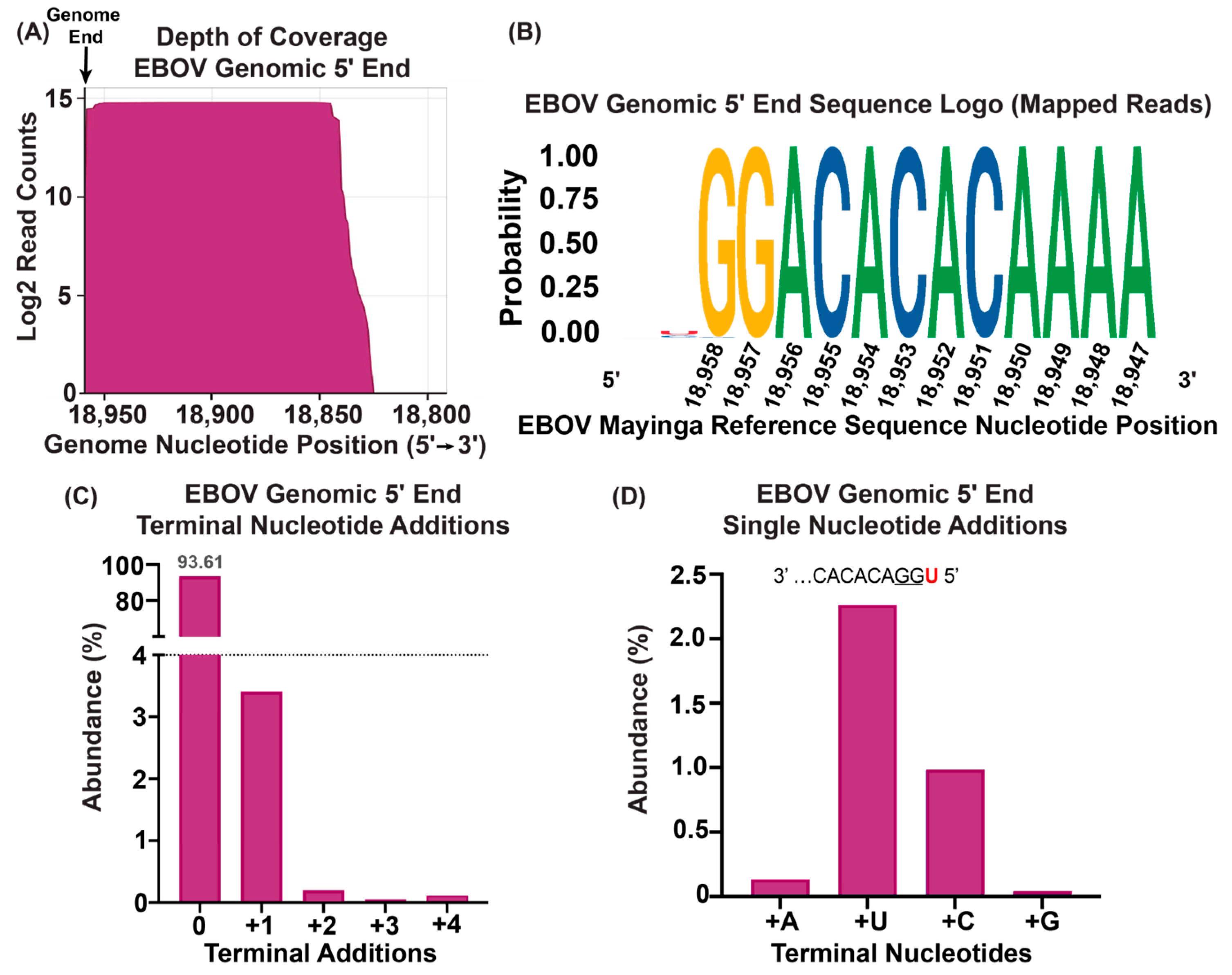 Viruses 16 01064 g004