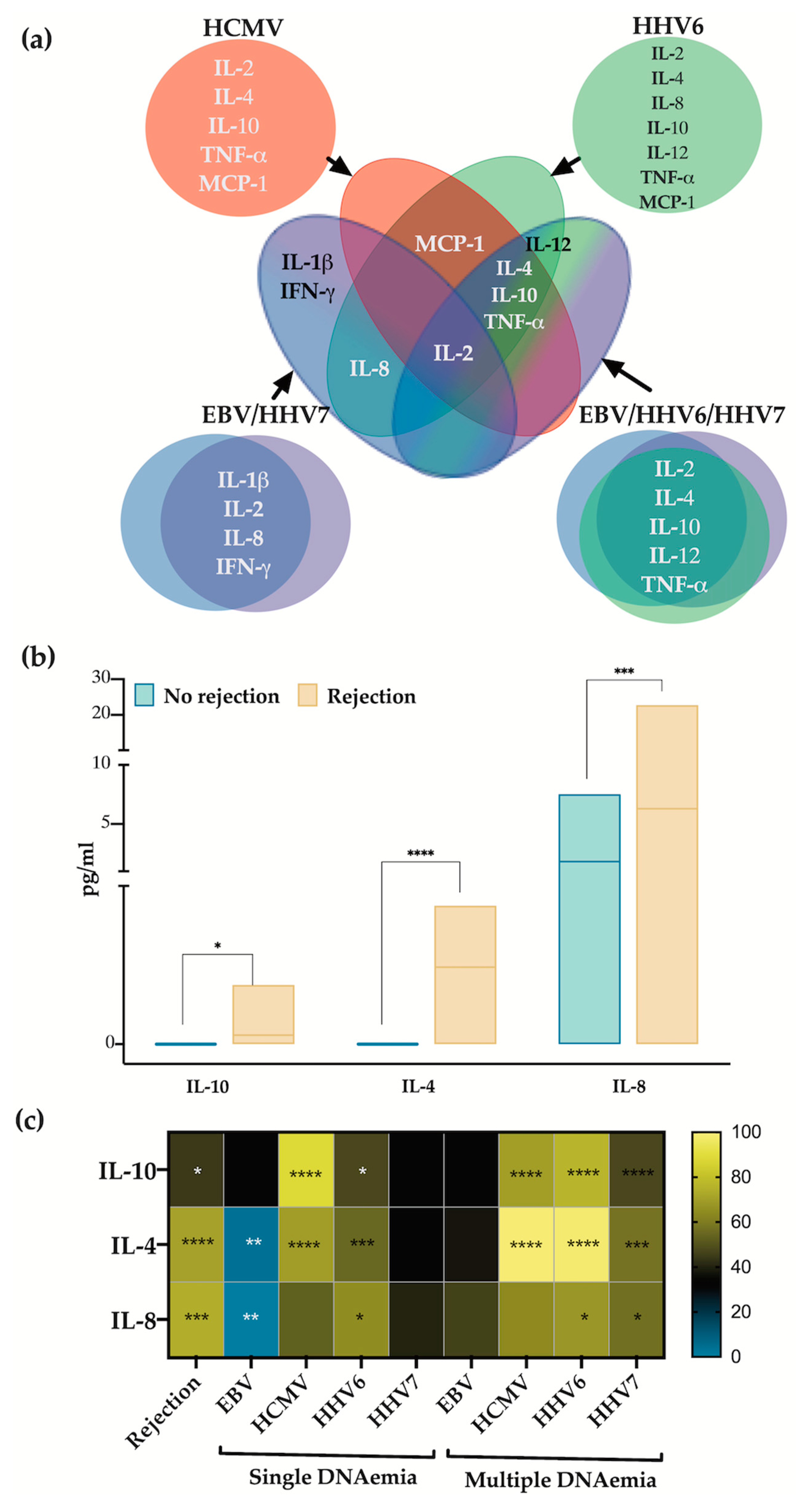 Viruses 16 01067 g004